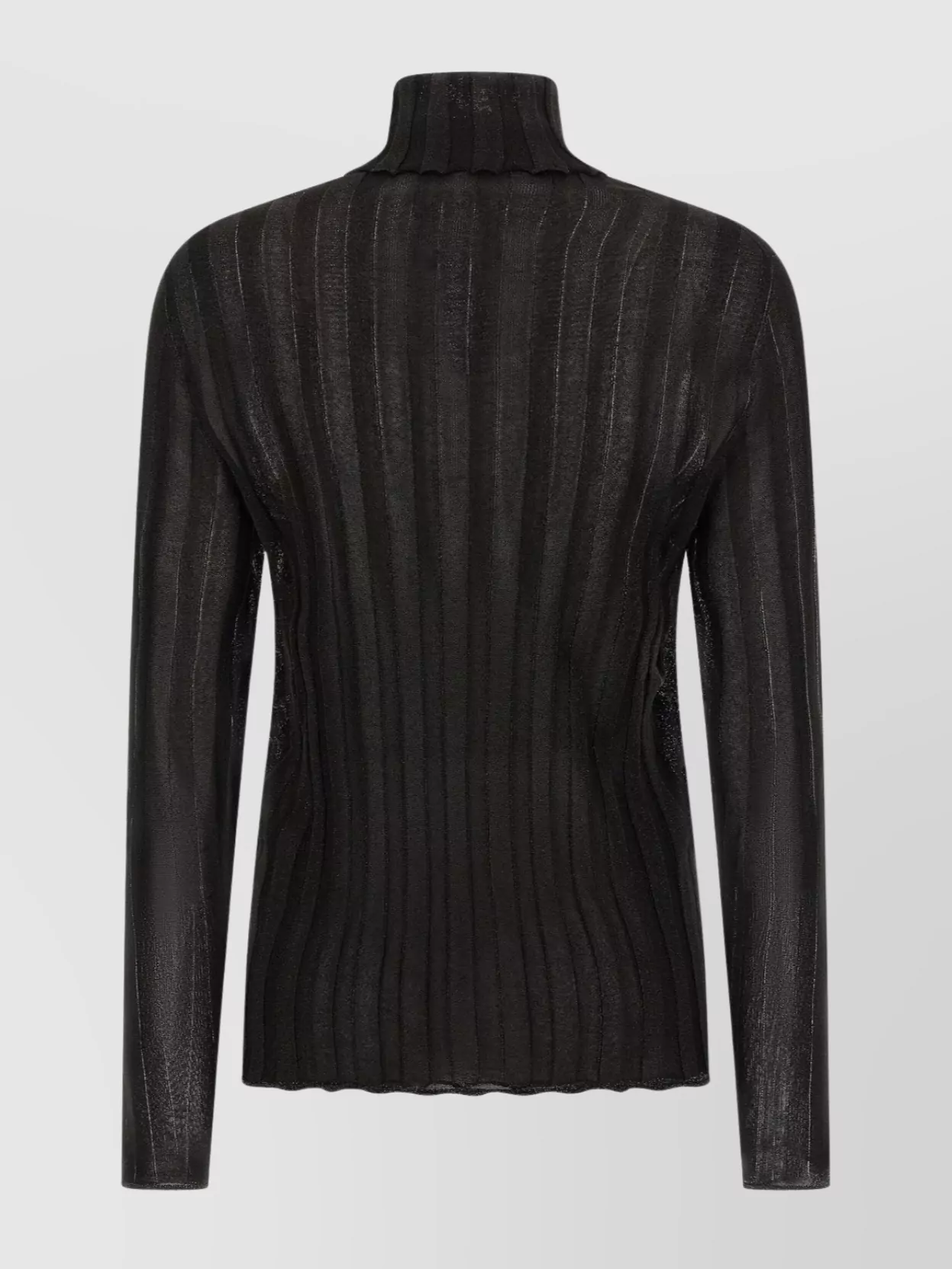 Fabiana Filippi Turtleneck Sweater With Ribbed Sheer Fabric In Black