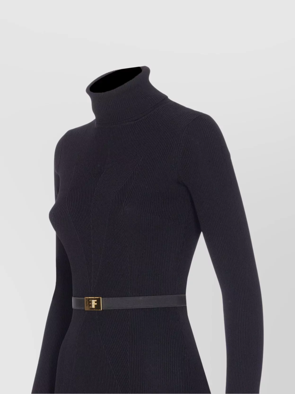 Elisabetta Franchi Knitted Dress With Belted Waist And Turtleneck In Black