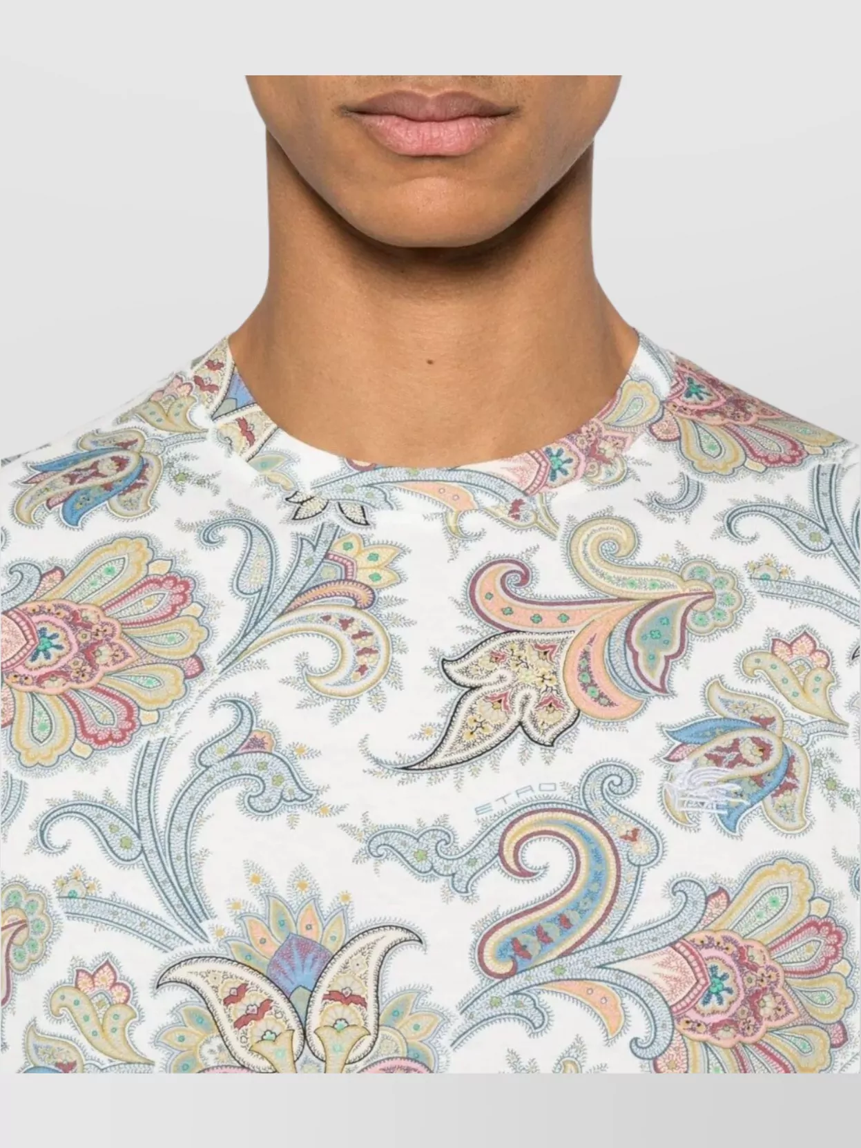 Etro Roma Crew Neck Paisley Print T-Shirt