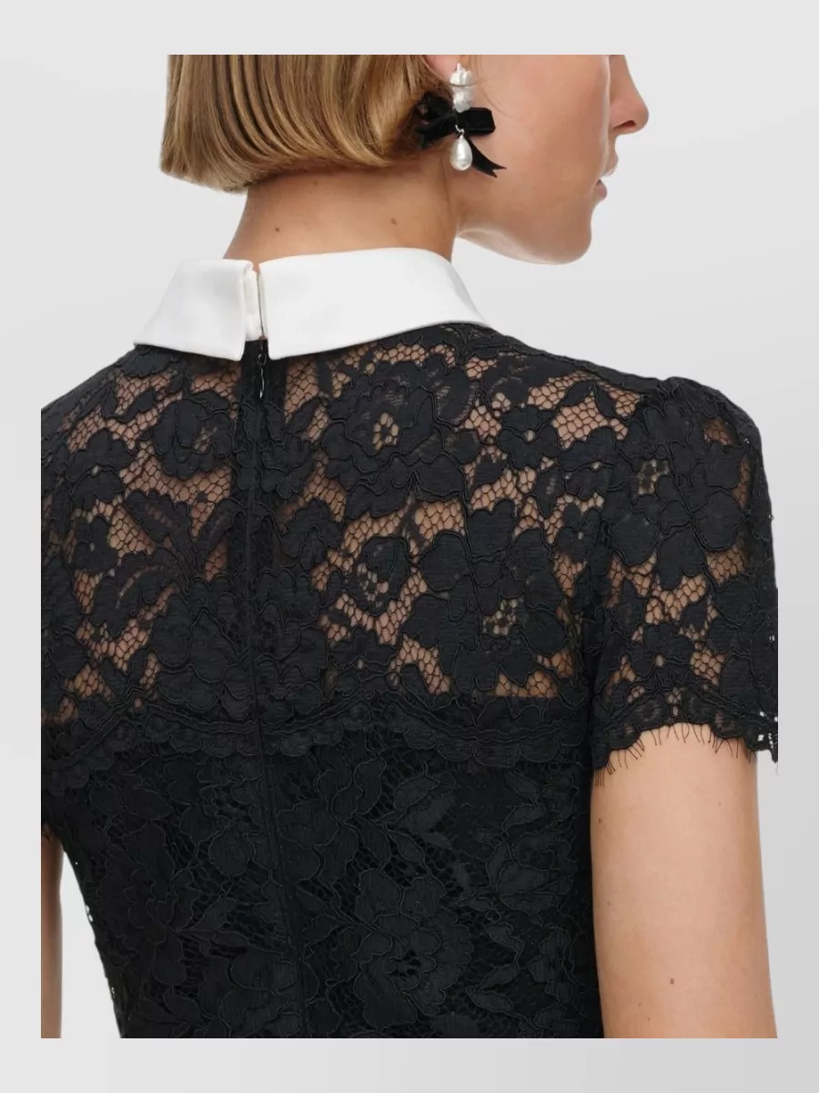 Self-Portrait Lace Contrast Collar Belted Midi Dress