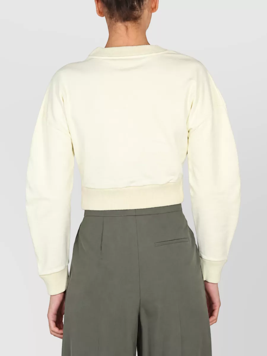 Alexander Mcqueen Cropped Knitted Top