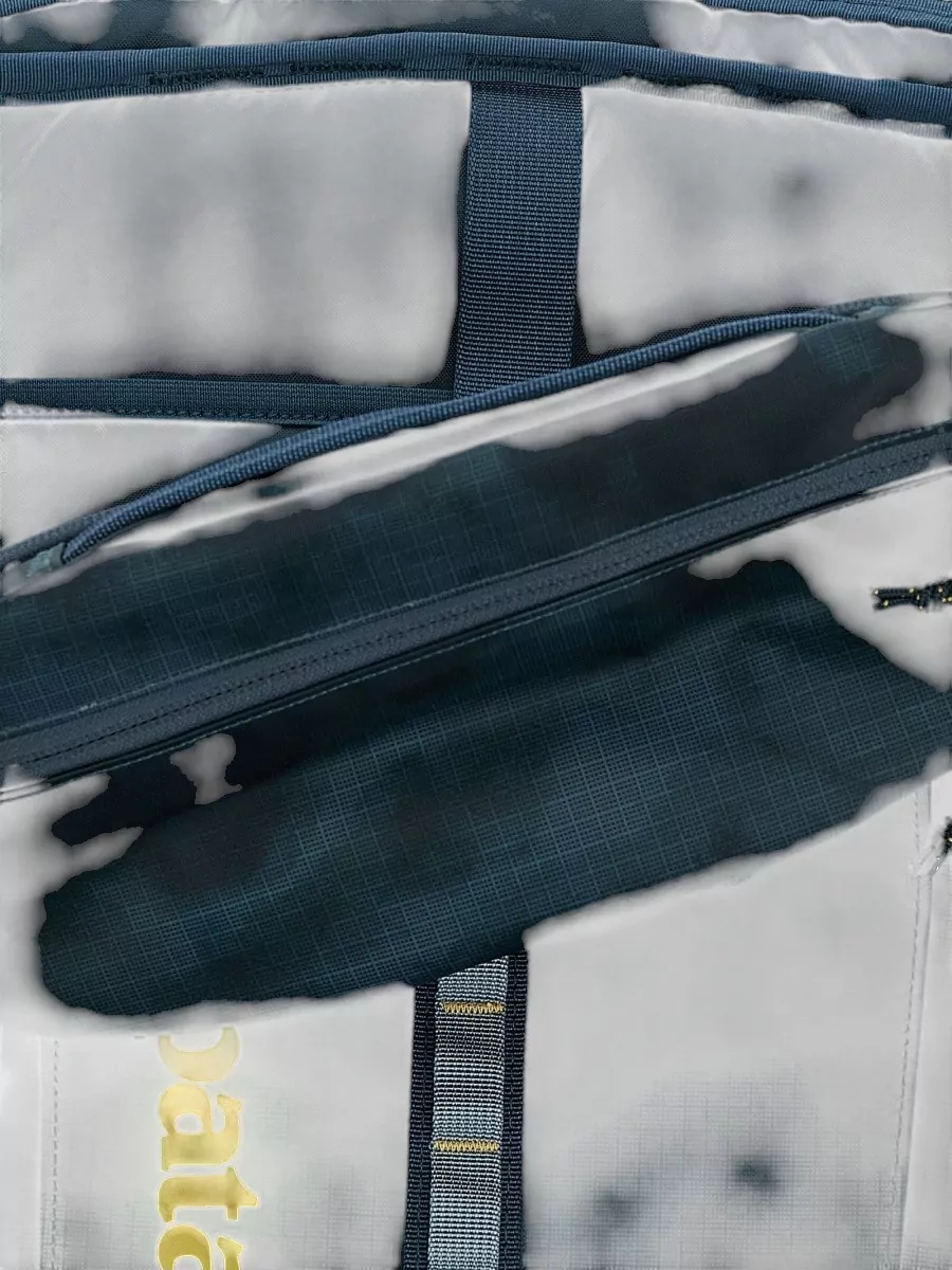 Patagonia Polyester Black Hole Backpack