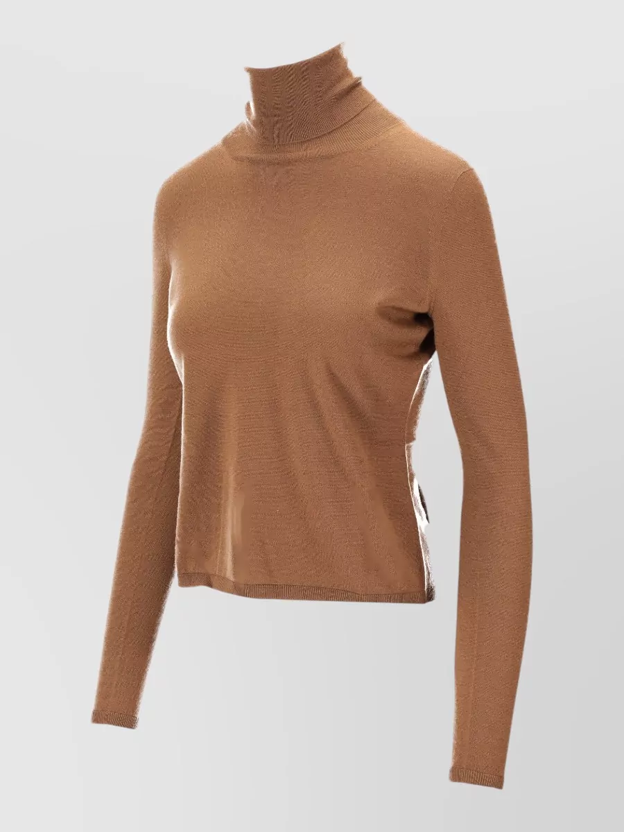 Max Mara Veloce Cashmere Turtleneck High Collar Sweater