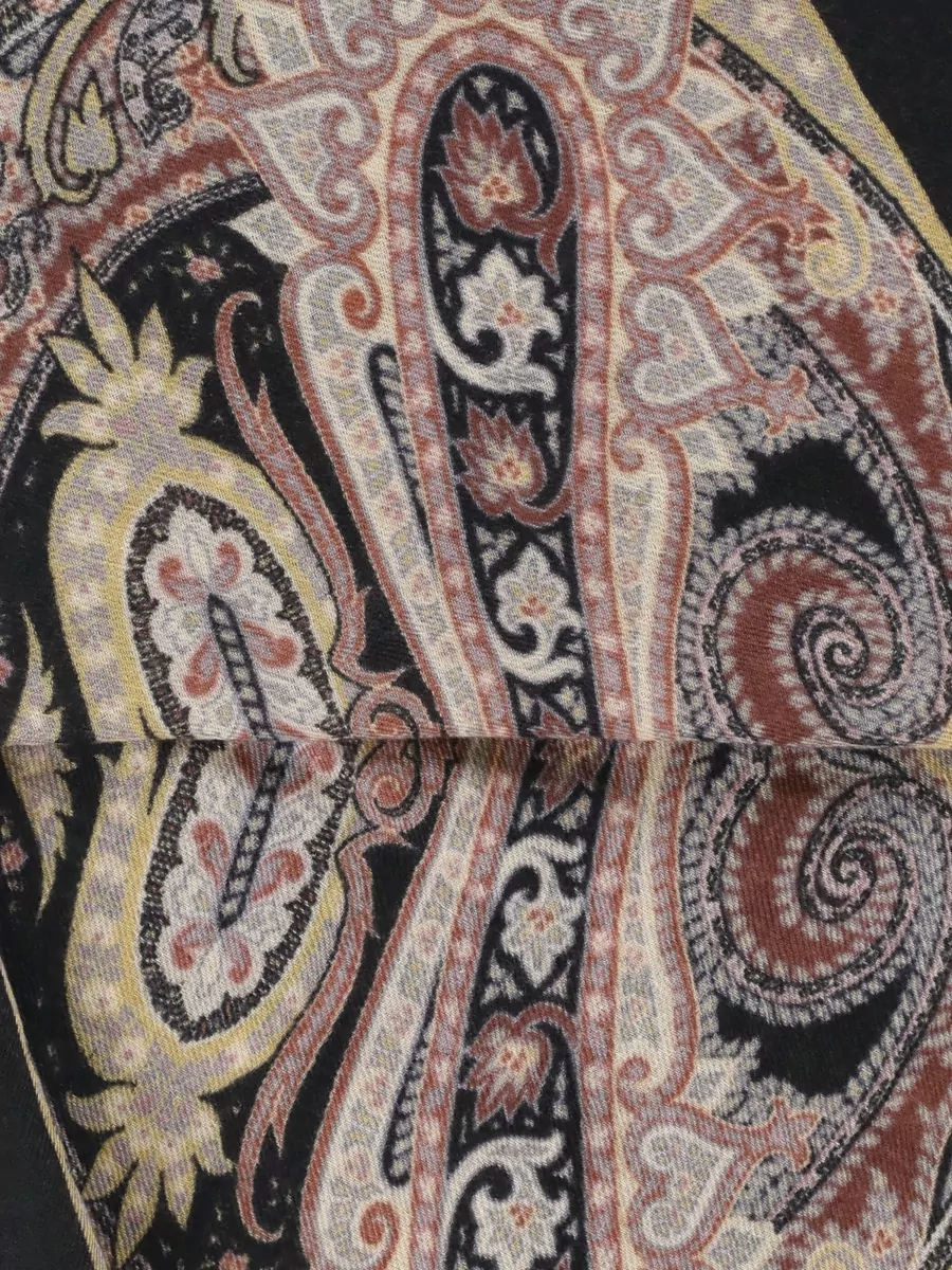 Etro Cashmere Fringed Logo Print Scarf