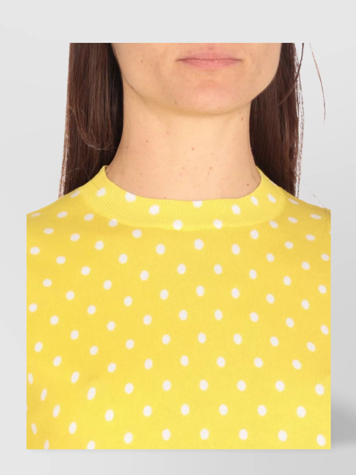 Fabiana Filippi Polka Dot Crewneck Knitwear