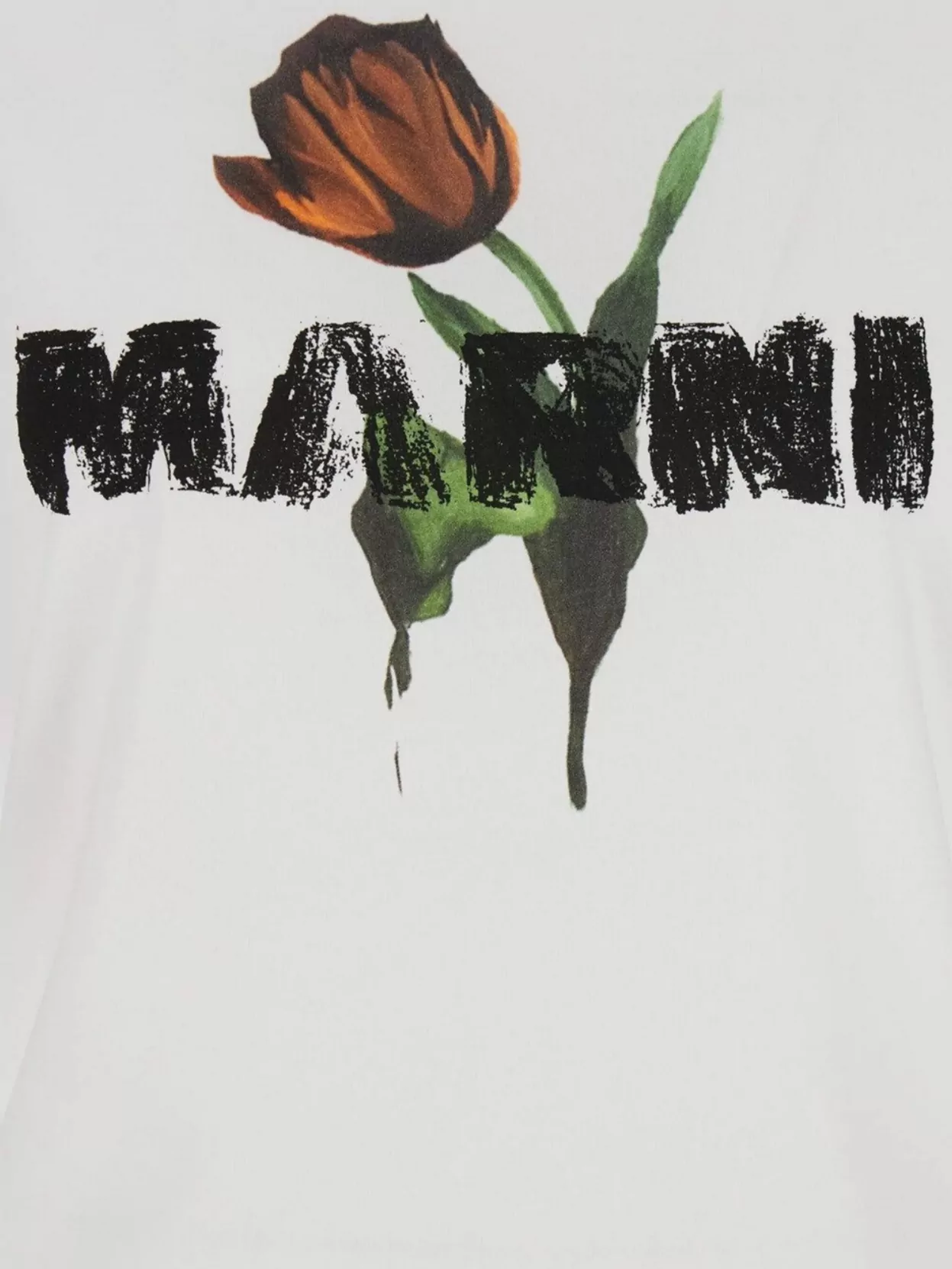 Marni Floral Graphic Print Crew Neck Short Sleeve Top