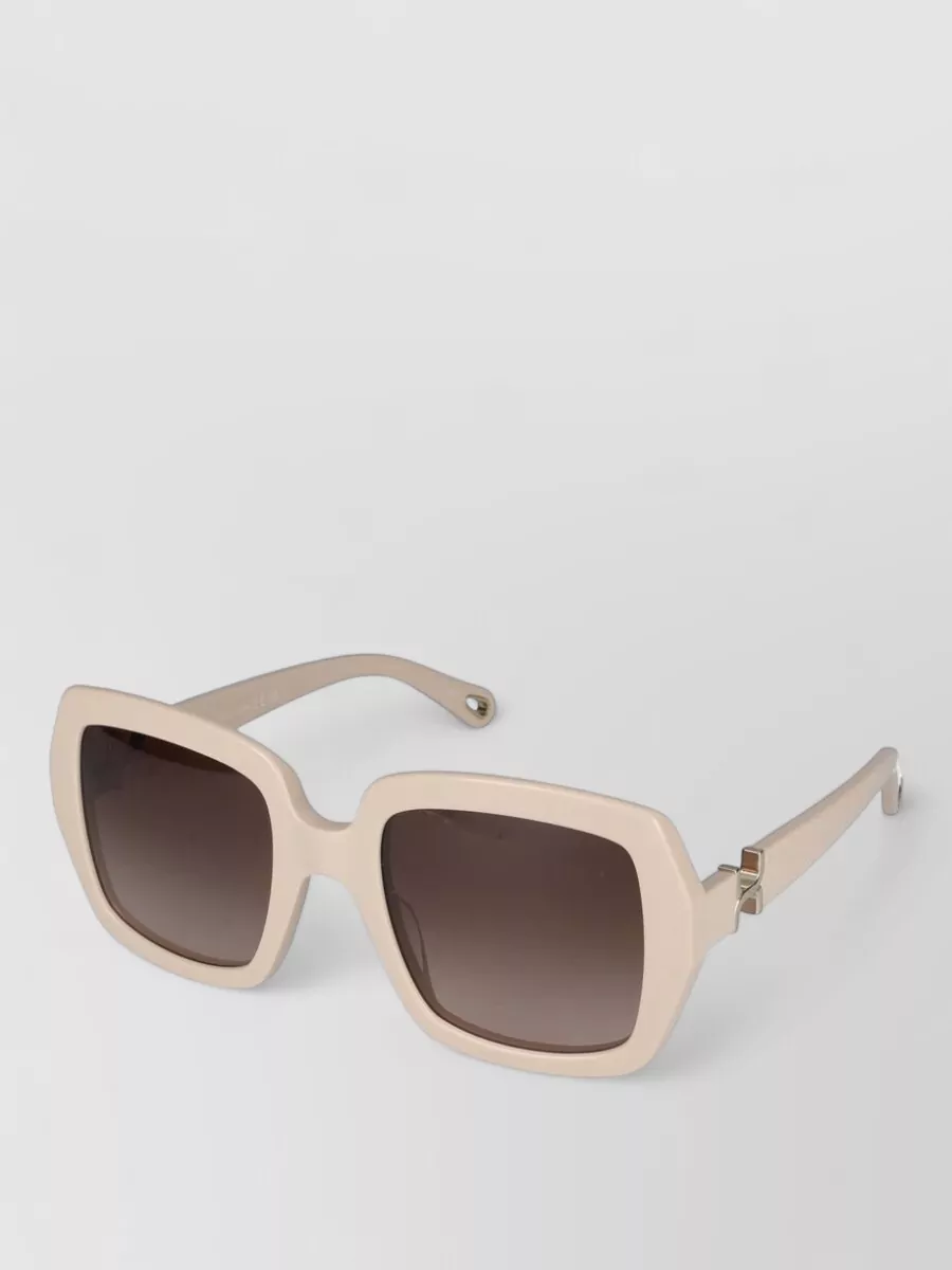 Chloé Acetate Sunglasses