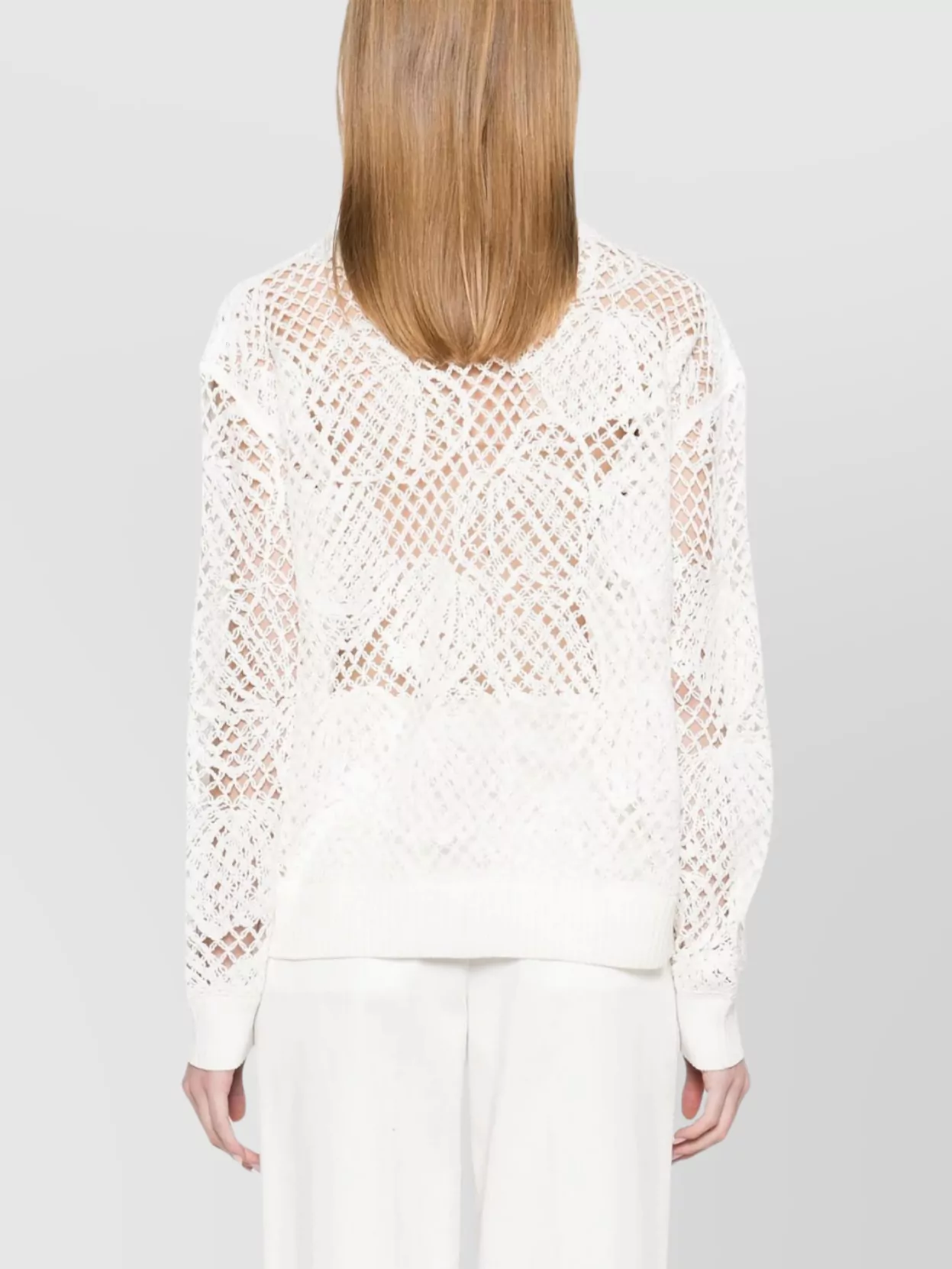 Max Mara Crewneck Knitwear With Sheer Placed Pattern