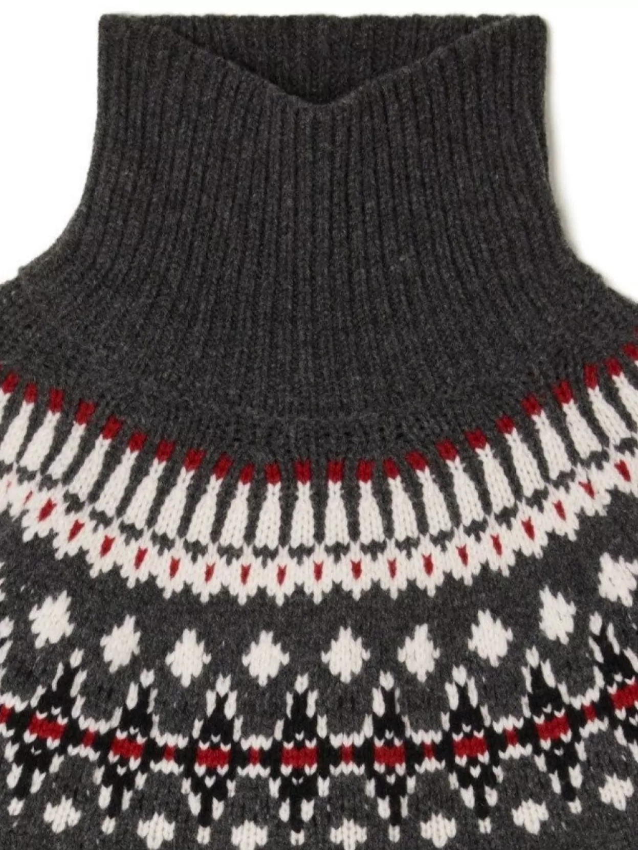 Alanui Winter Turtleneck Chunky Knit Fair Isle