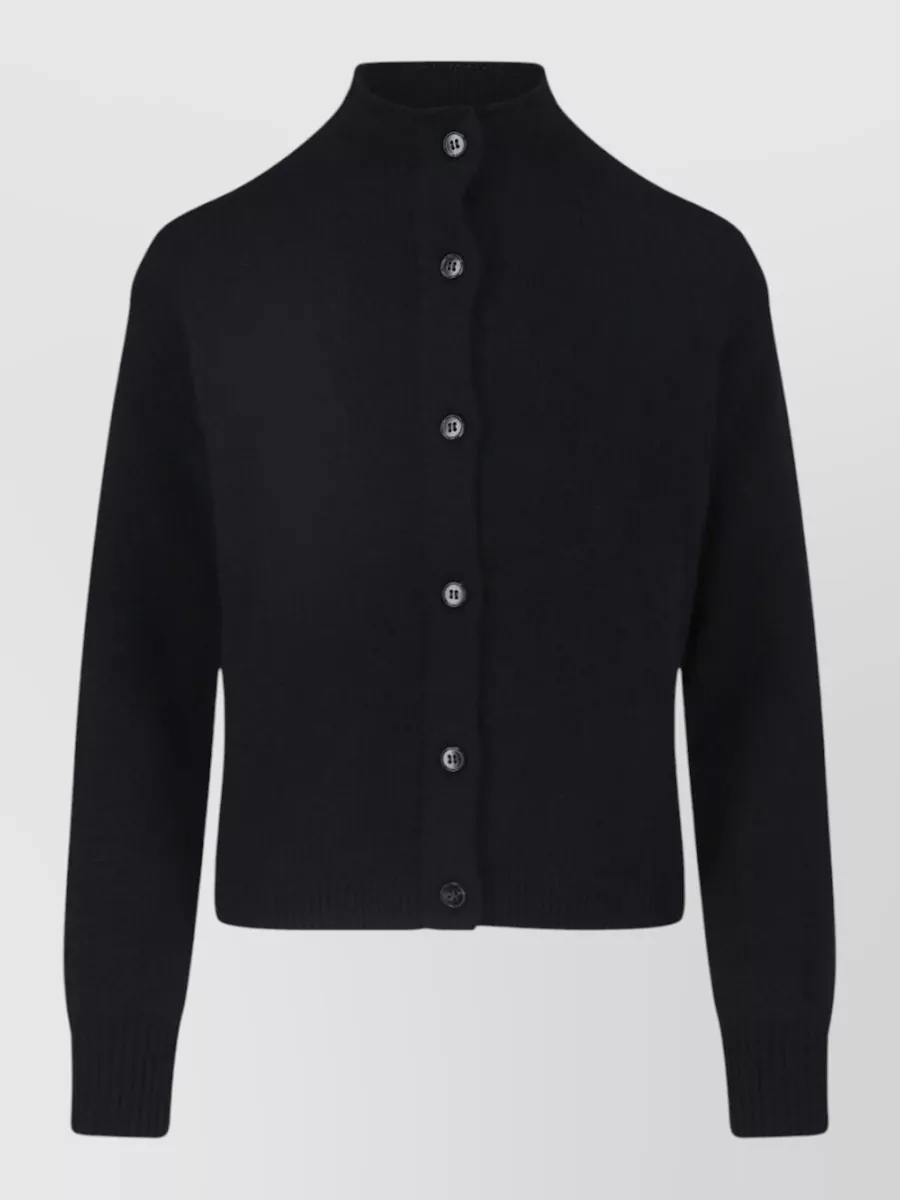 Lisa Yang cashmere crewneck fitted jacket