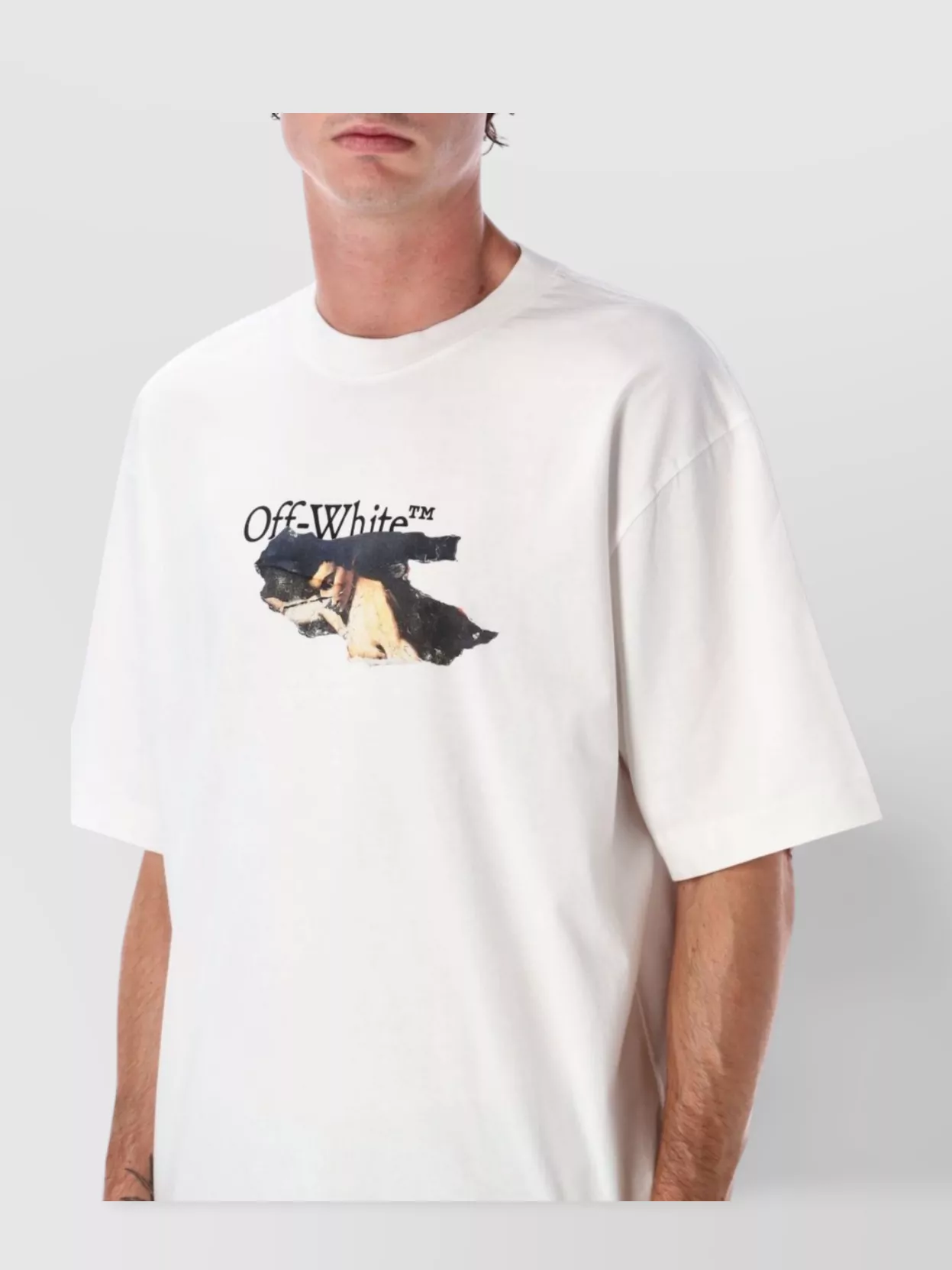 Off-White Graphic Print Short Sleeve Skate T-Shirt