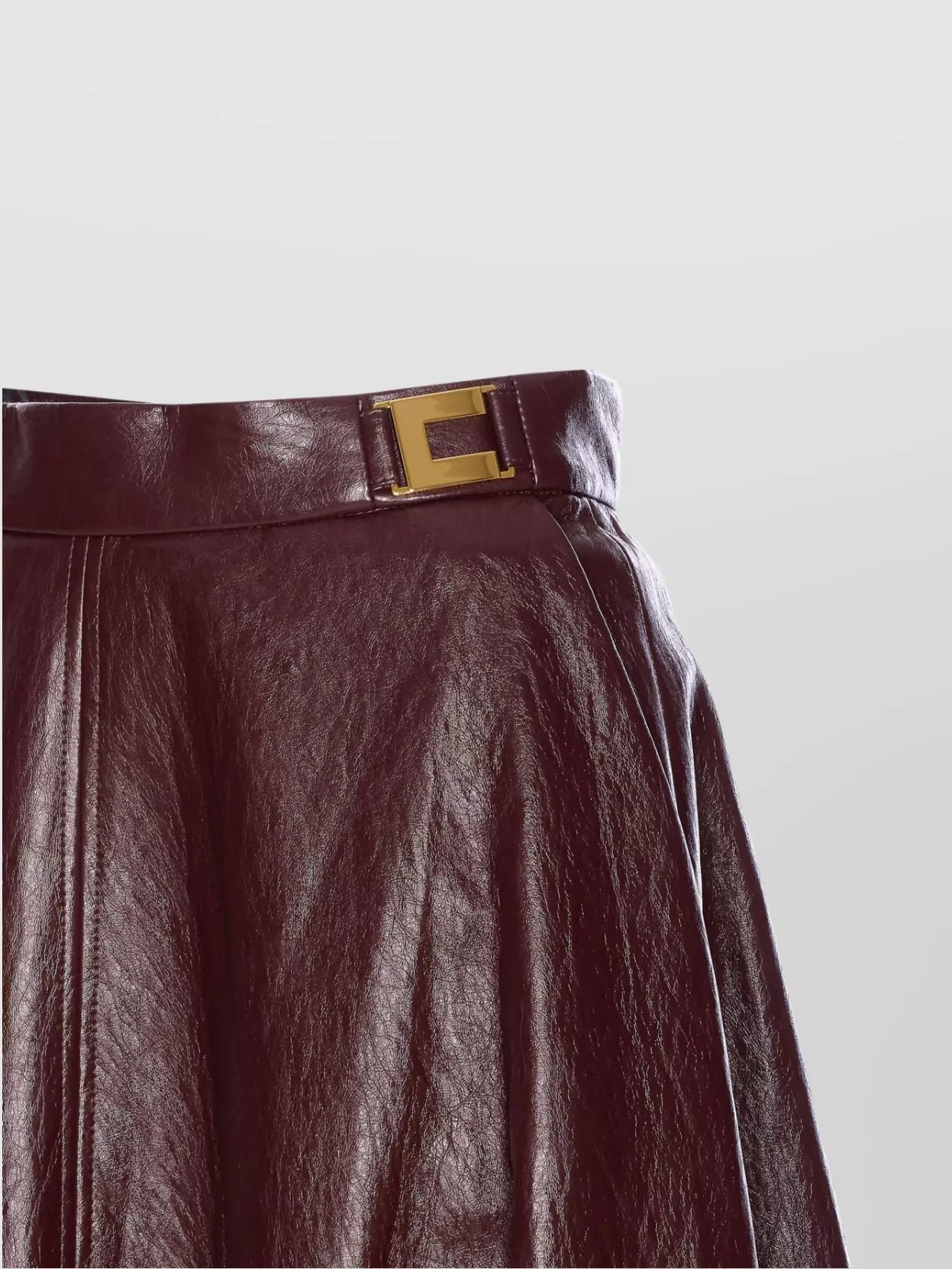 Elisabetta Franchi A-line Silhouette Skirt With Metallic Buckle Detail In Burgundy