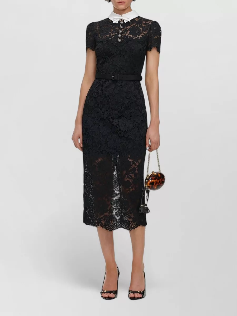 Self-Portrait lace contrast collar belted midi dress