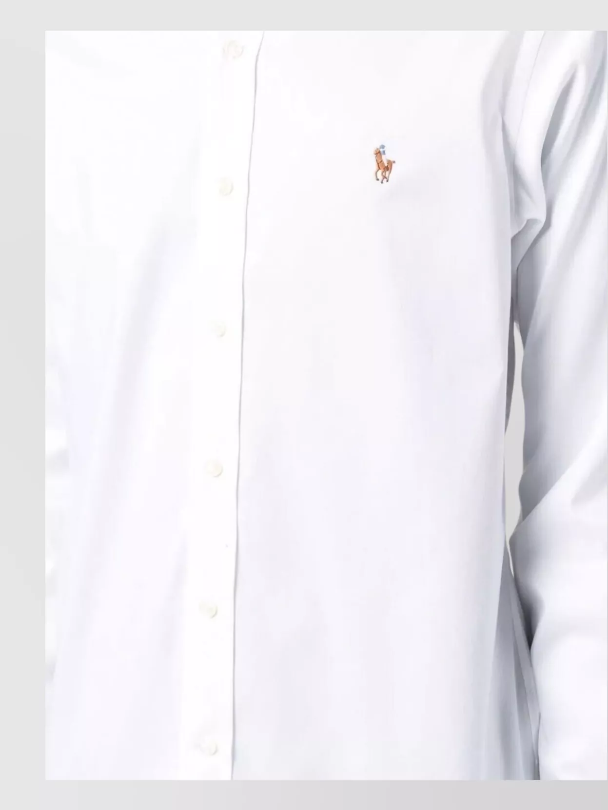 Polo Ralph Lauren Collared Shirt Button-Down Long Sleeves