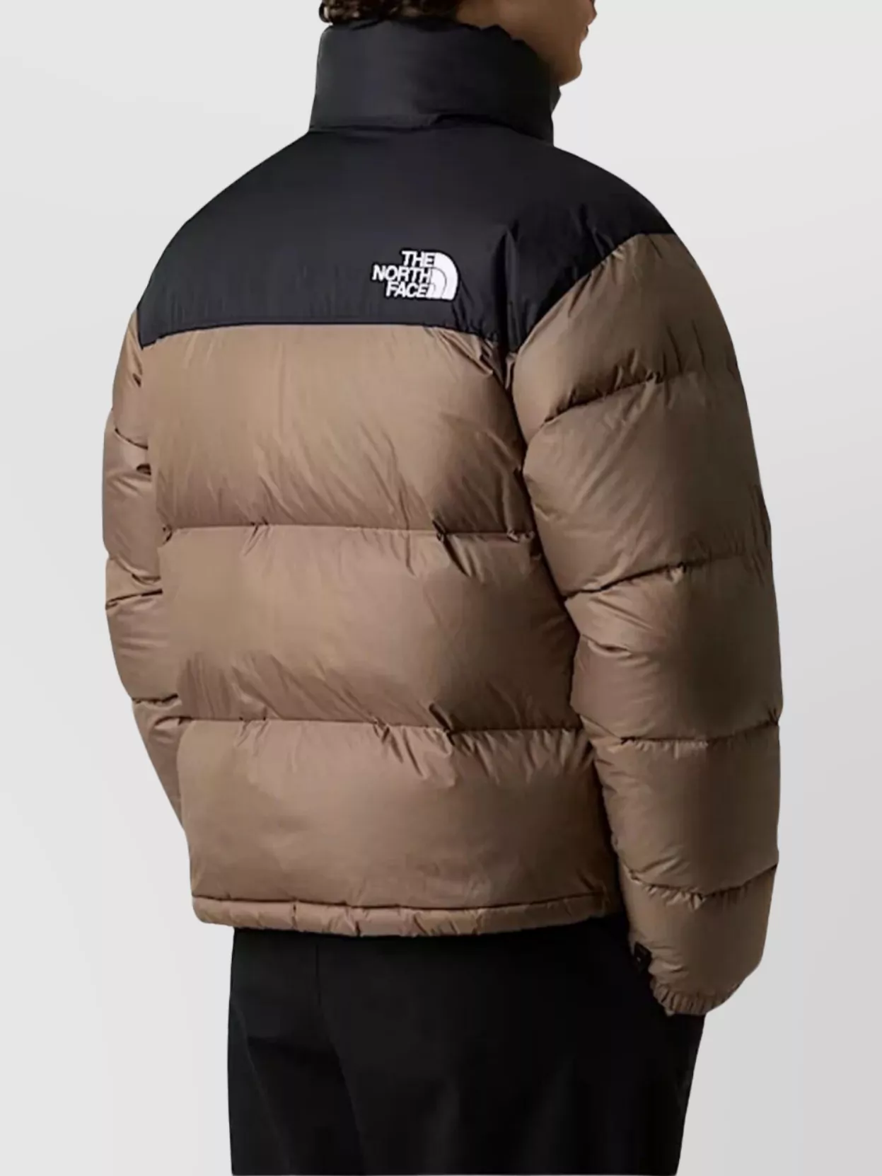 The North Face Retro Puffer Jacket High Collar