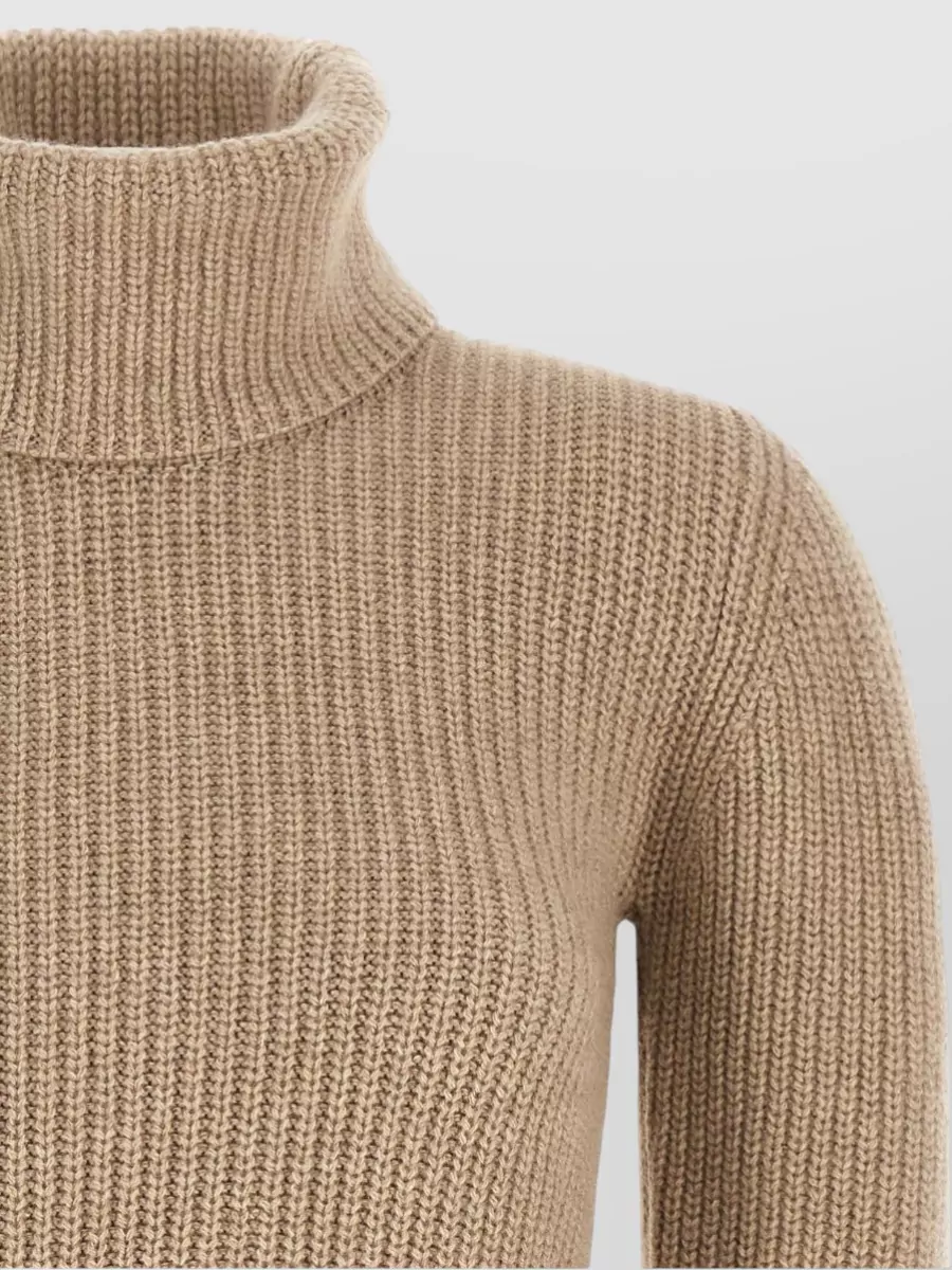Magda Butrym Cashmere Ribbed Turtleneck Long-Sleeve Mini Dress