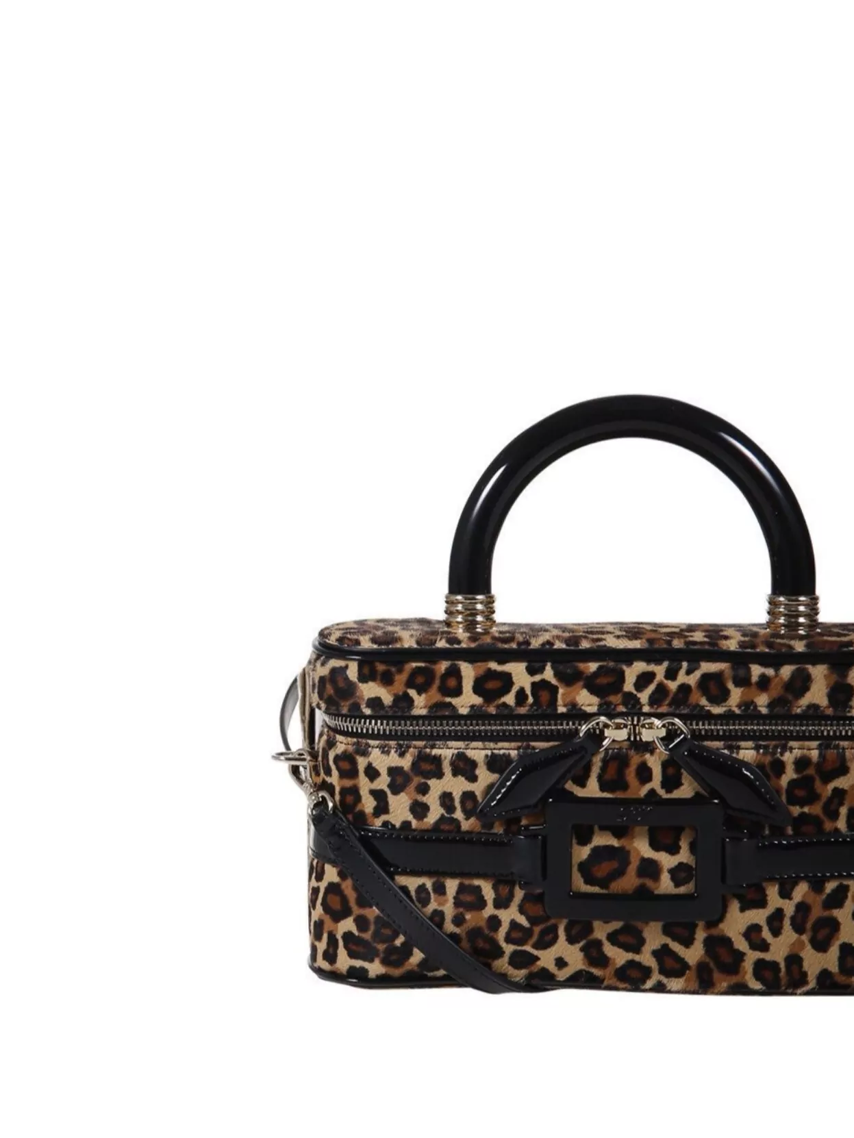 Roger Vivier Mini Vanity Bag Buckle Detail