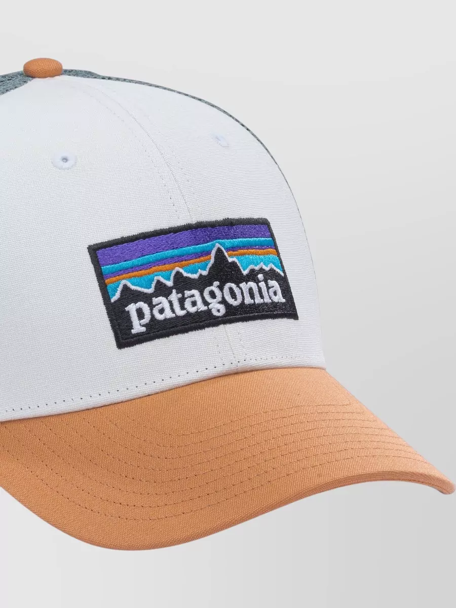 Patagonia Cotton Cap