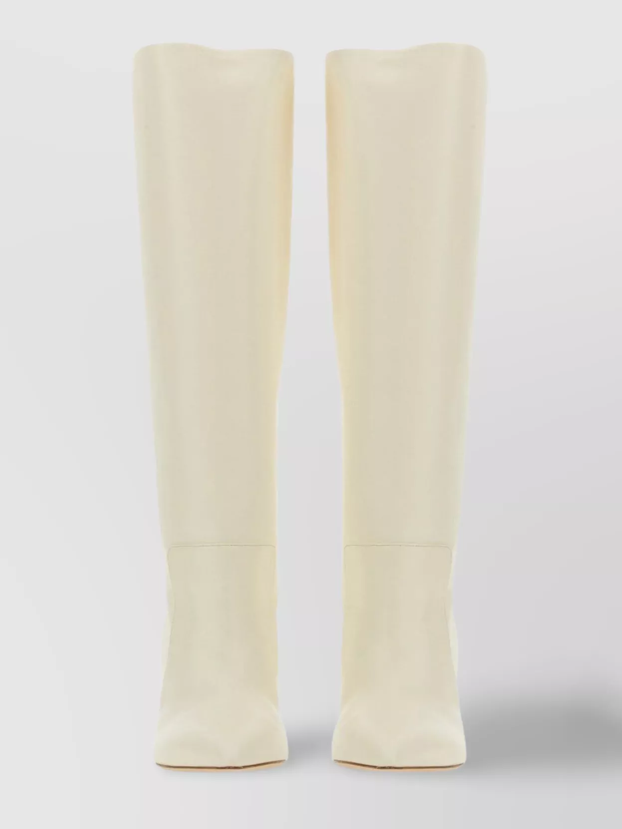 Shop Paris Texas Pointed Toe Stiletto Heel Knee Length Boots