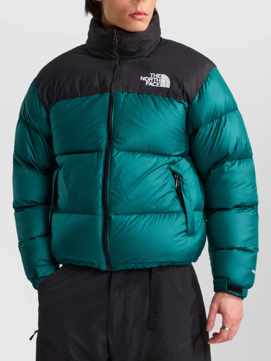 The North Face Down Puffer Jacket