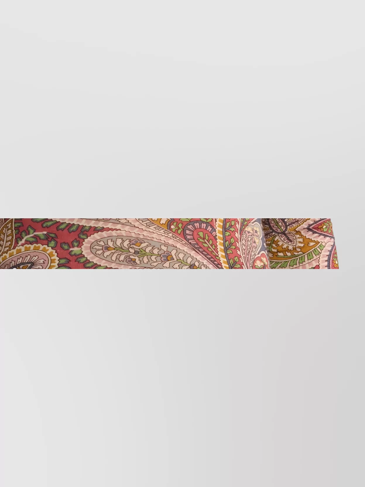 Etro Crew Neck Long-Sleeved Top