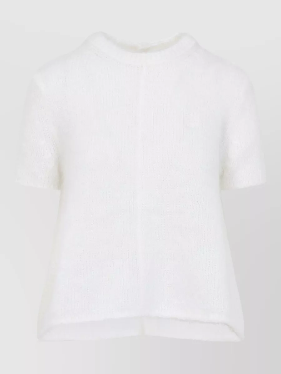 Loewe Short Sleeve Knitwear Round Neck Sweater