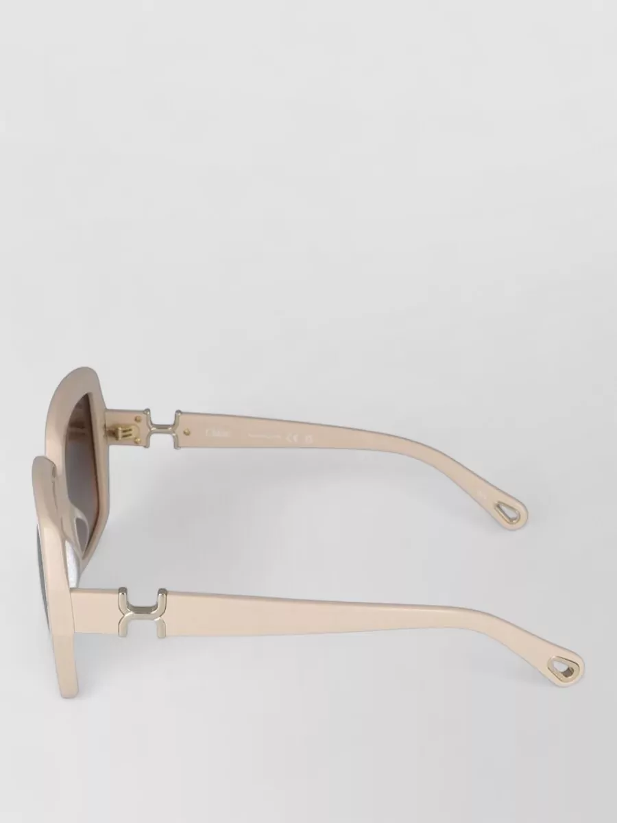 Chloé Acetate Sunglasses