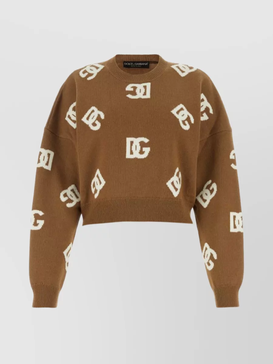 Shop Dolce & Gabbana Embroidered Crewneck Wool Sweater In Brown