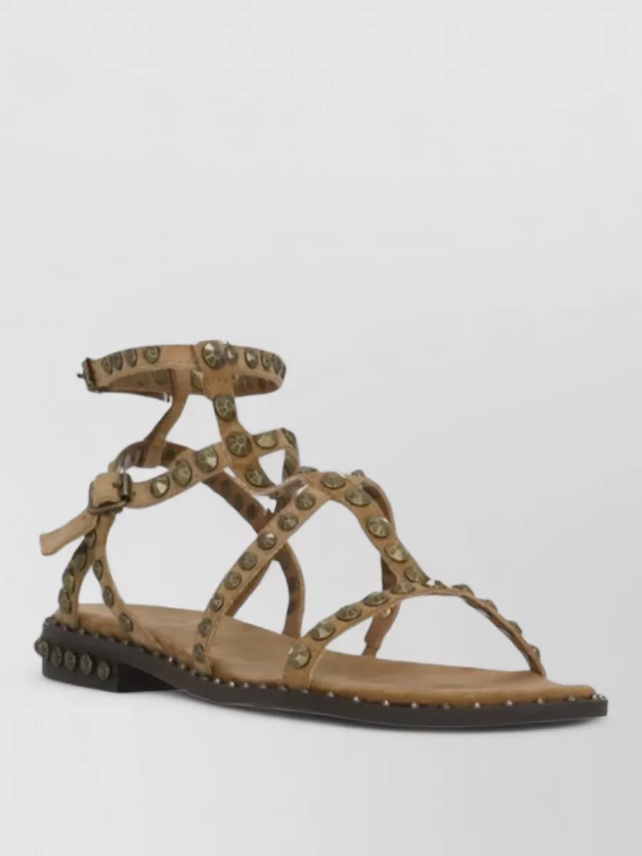 Ash Studded Leather Flat Sandals