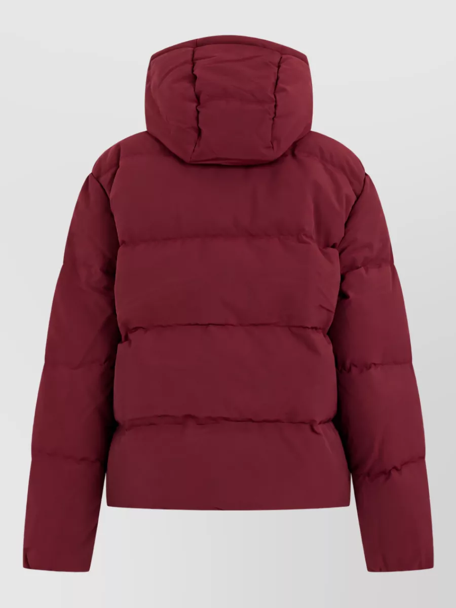 Polo Ralph Lauren Padded hooded parka coat