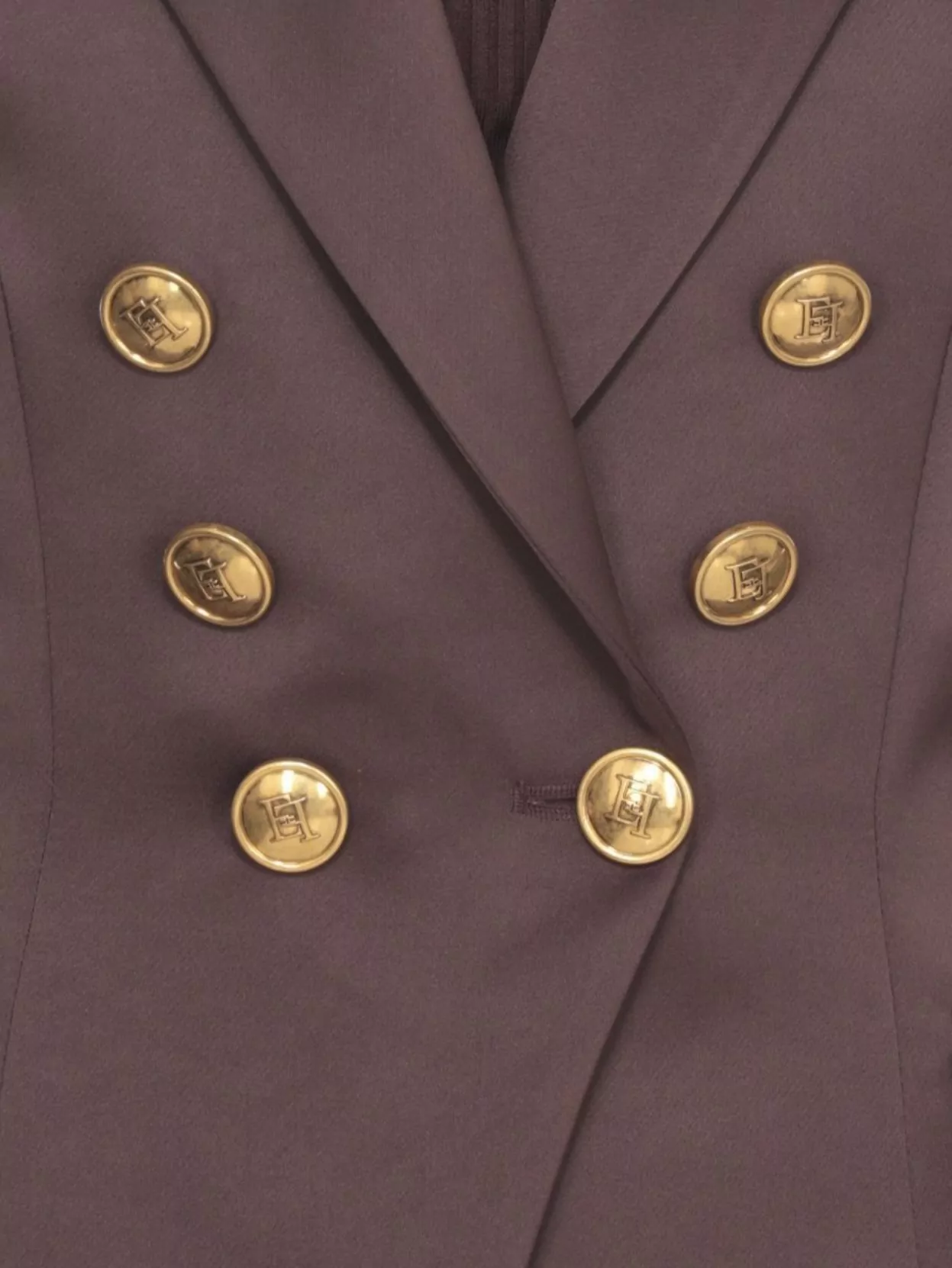 Elisabetta Franchi Double-Breasted Blazer Gold Buttons