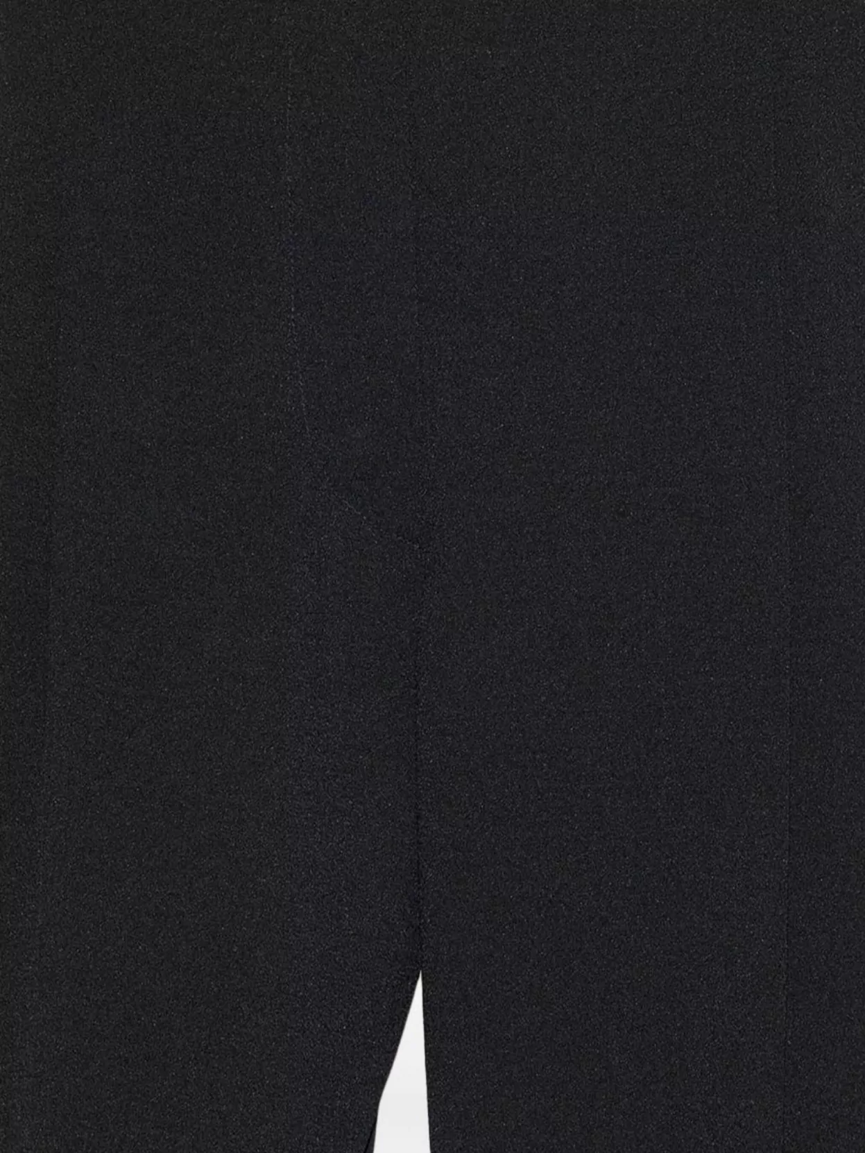 Isabel Marant Tailored Trousers Pleated Wide-leg Design