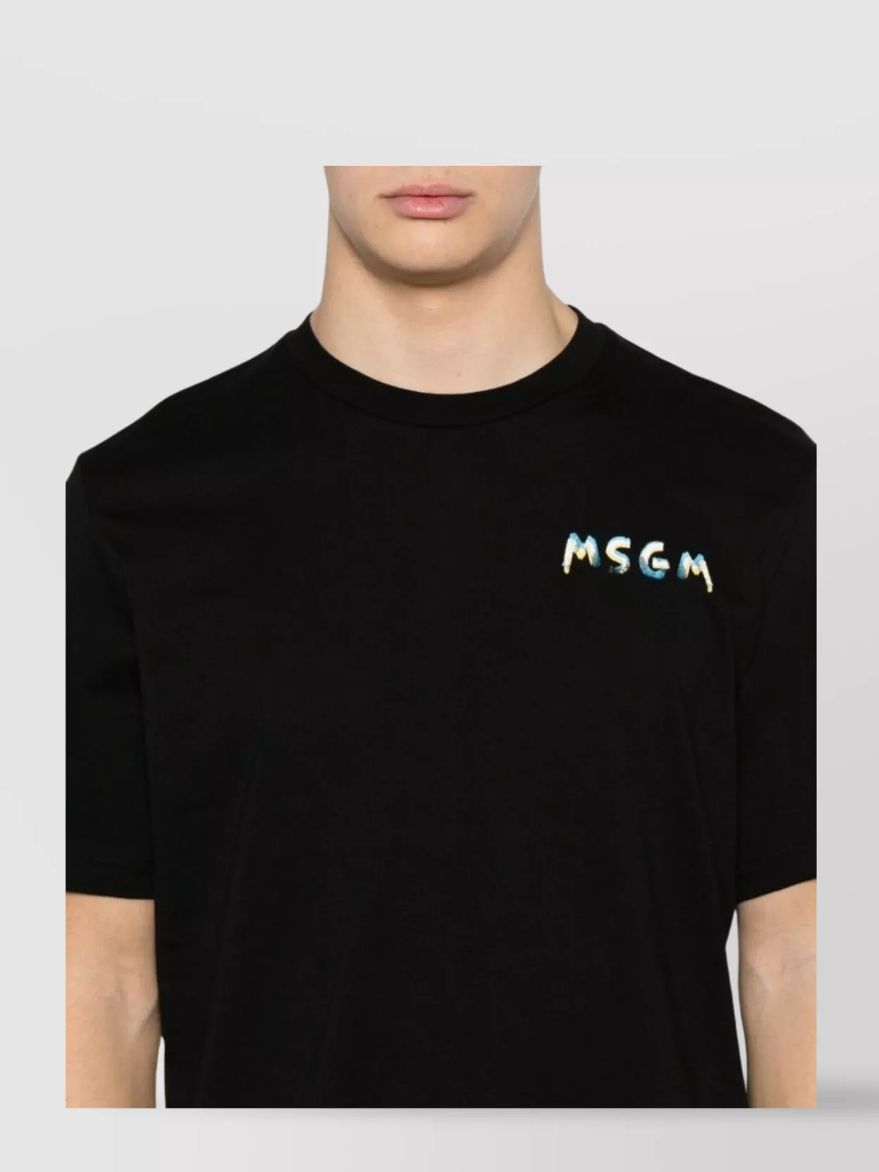 Msgm Logo Cotton Crew Neck T-Shirt