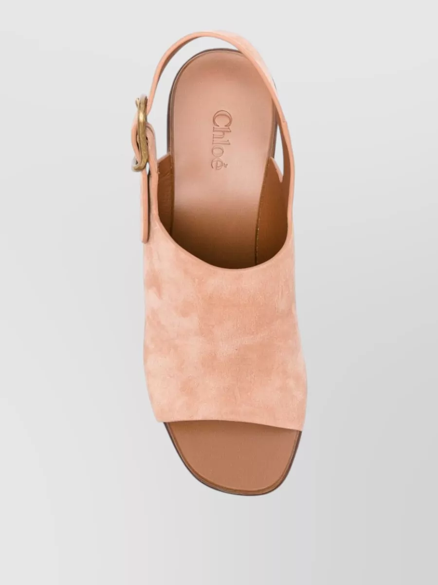 Chloé Maxime Suede Slingback Platform Mules In Multi