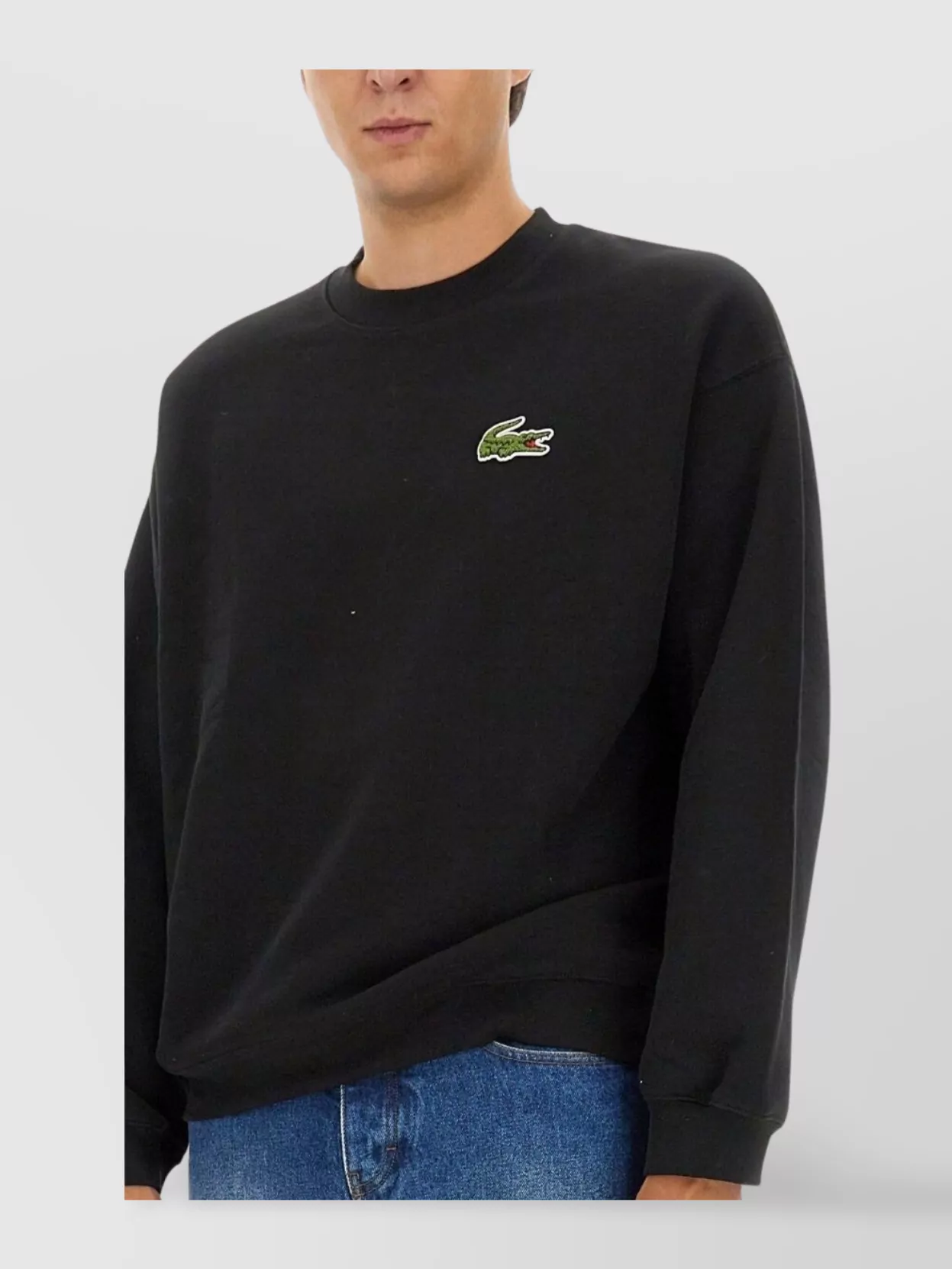Lacoste Logo Crew Neck Sweater