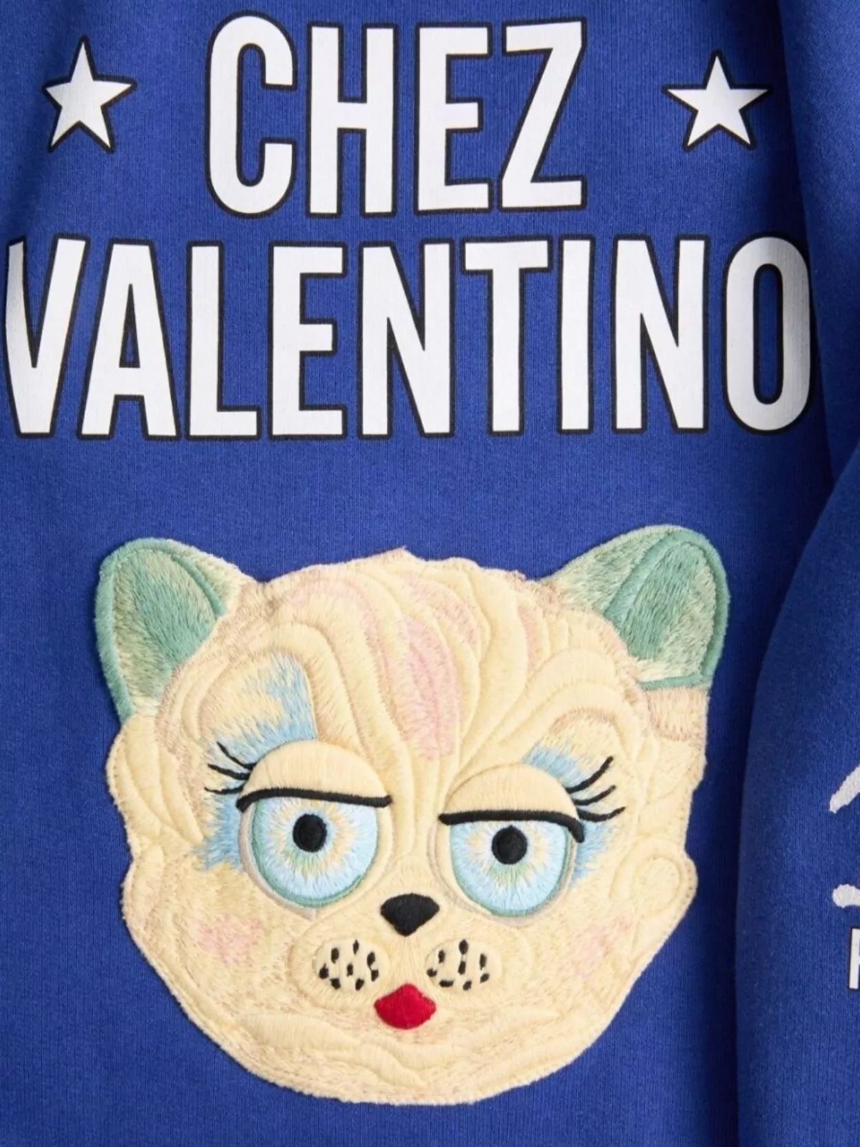 Valentino Garavani V-Neck Knitwear Sweatshirt Graphic Print