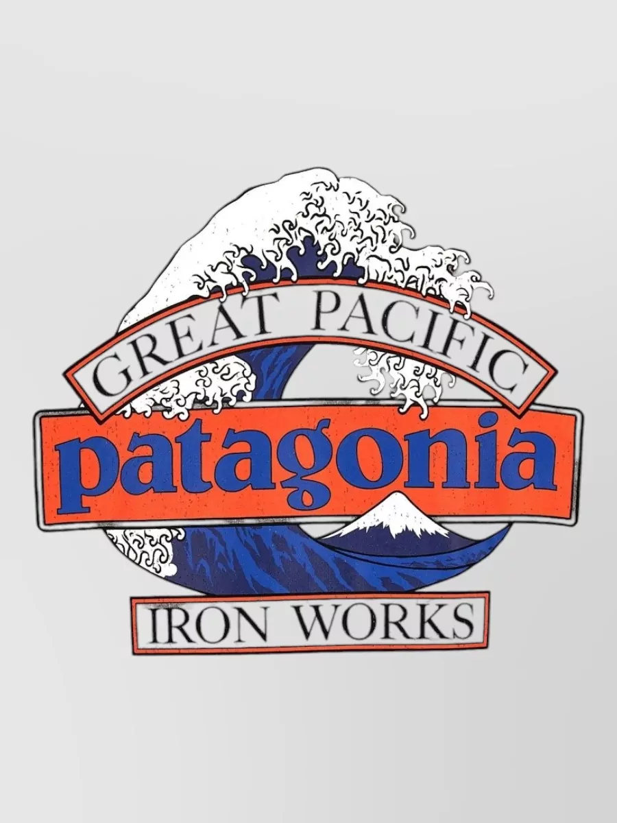 Patagonia Graphic Print Hoodie