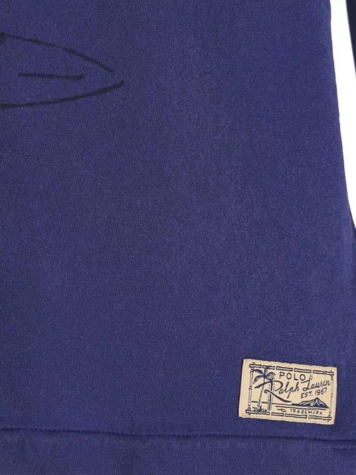 Polo Ralph Lauren Crew Neck Graphic Print Contrast Sleeves