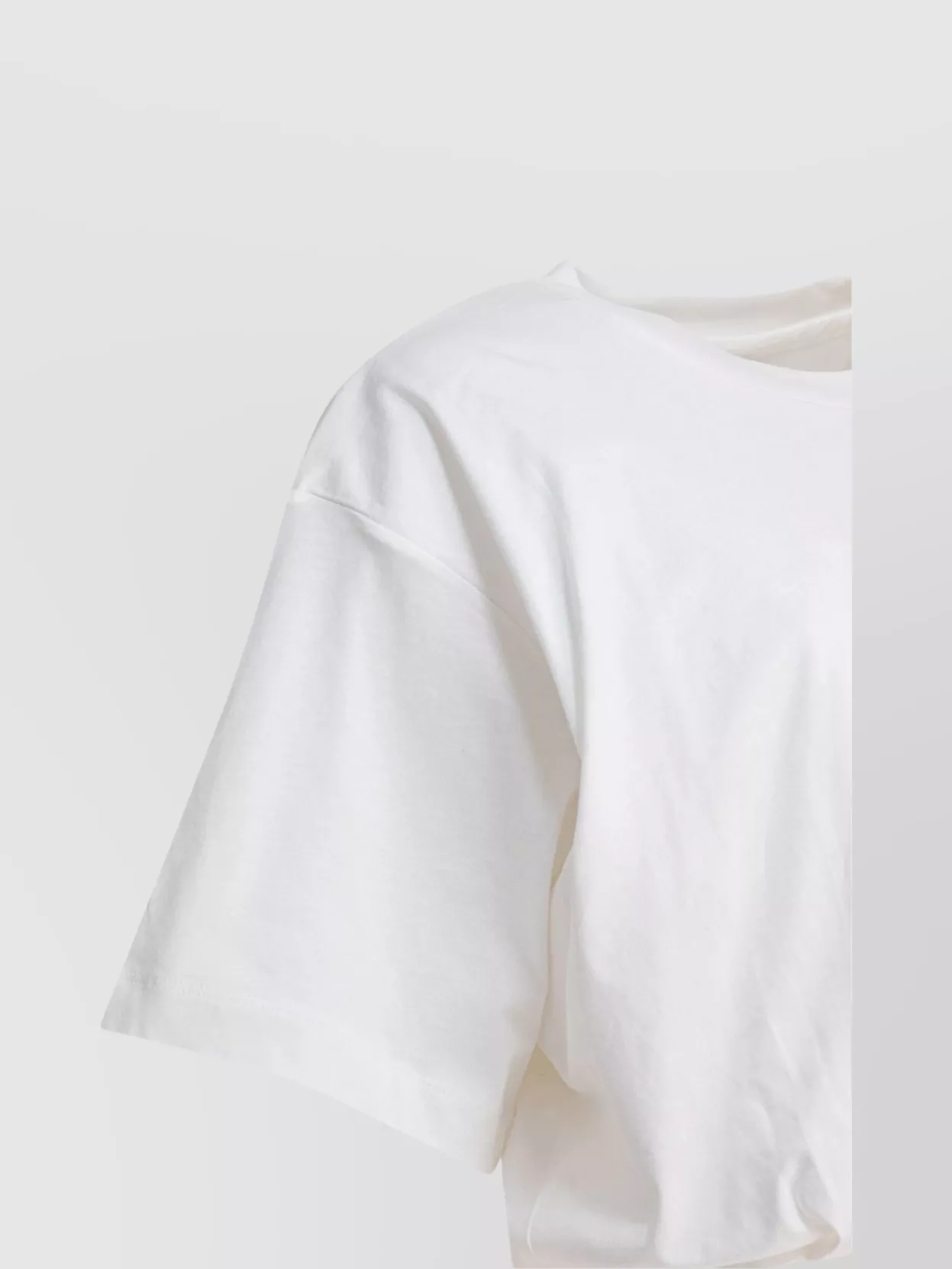 Shop Pinko Short Sleeves Crew Neck Top