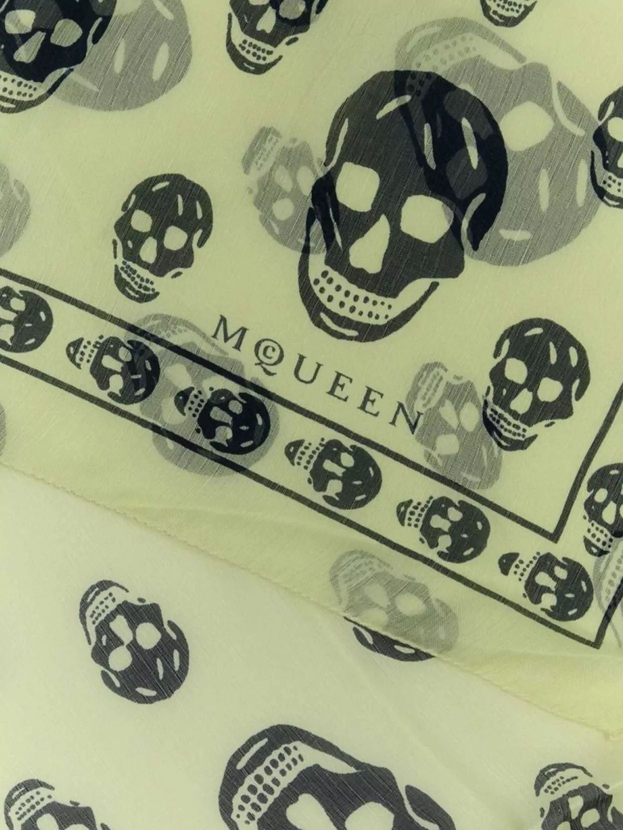 Alexander Mcqueen Skull Print Sheer Silk Scarf