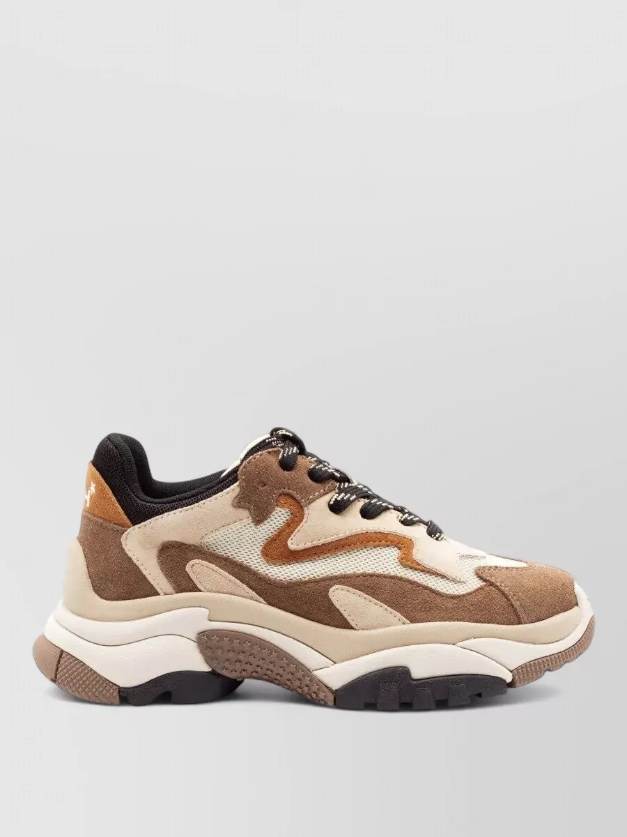 Ash Leather Low-Top Sneakers