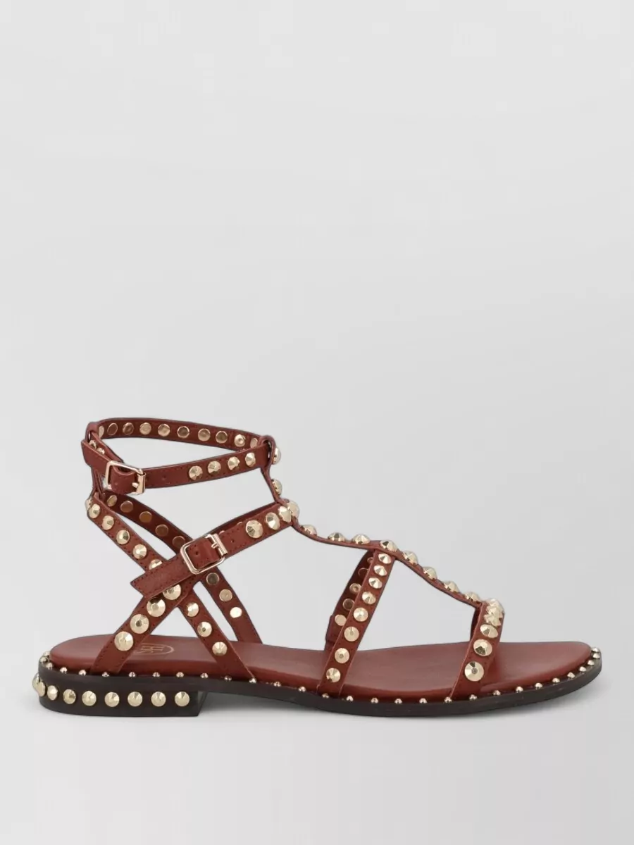 Ash Leather Gladiator Sandals