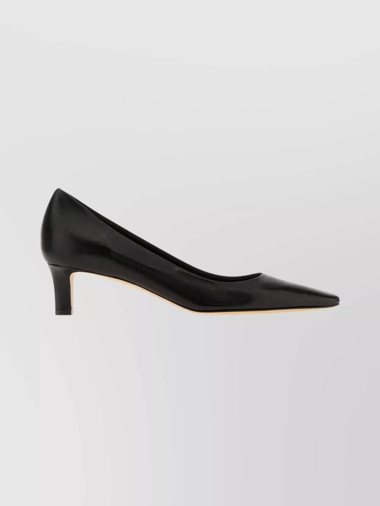 The Row Pointed Toe Leather Carla 45 Pumps In Black