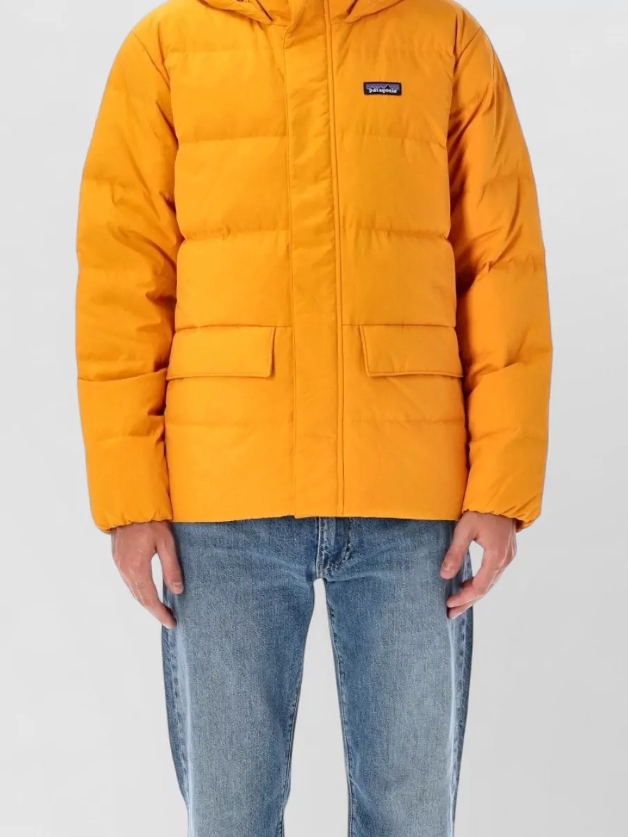 Patagonia down hooded puffer jacket