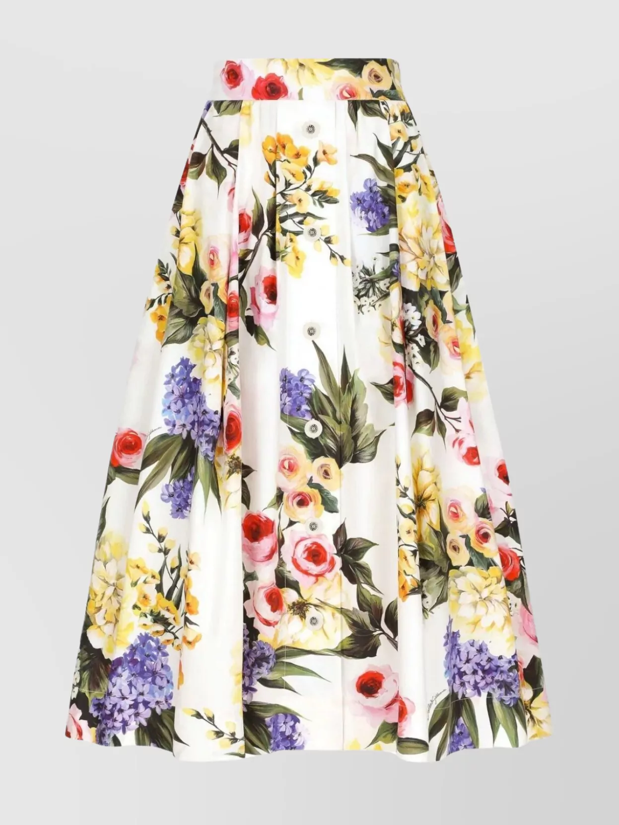 Shop Dolce & Gabbana Garden Blossom Circle Skirt