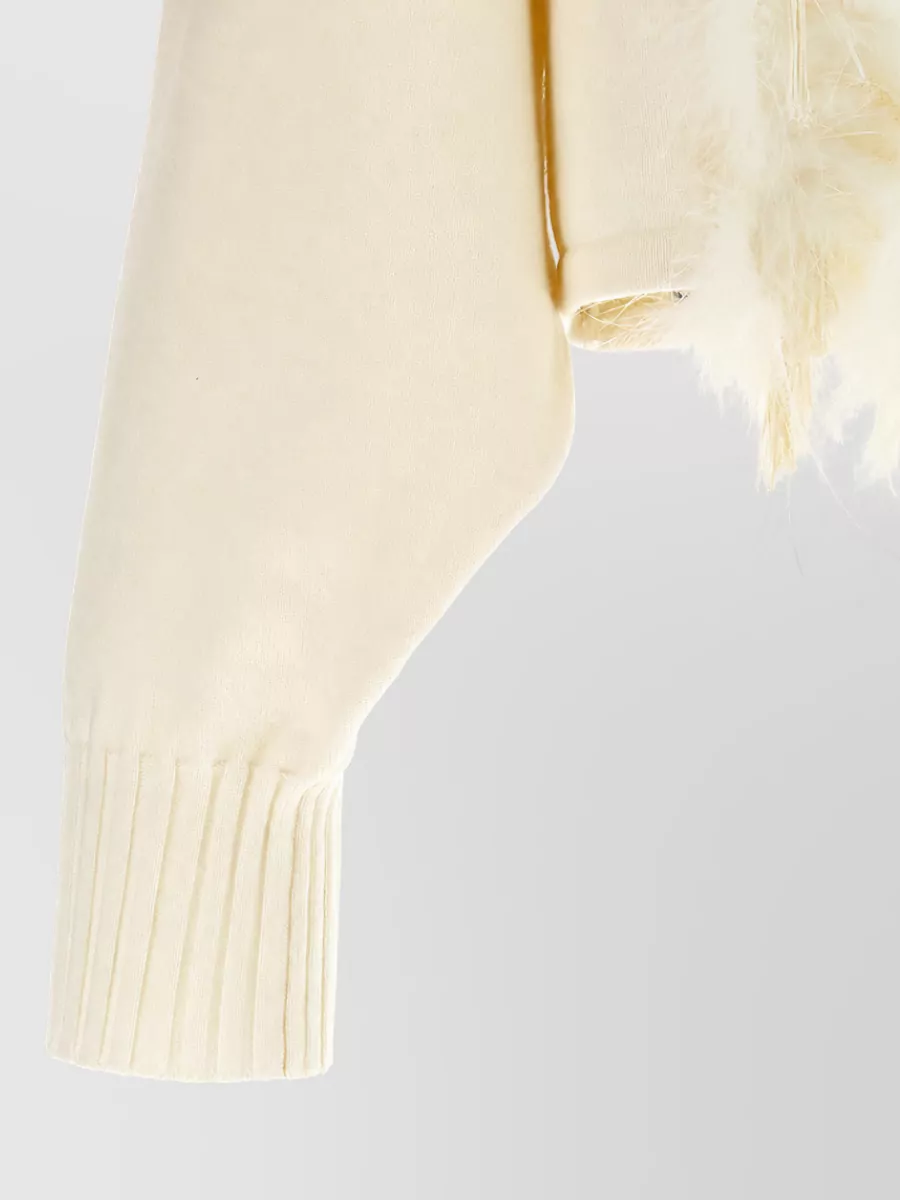 Alberta Ferretti Feather-Trimmed Ribbed Cropped Sweater