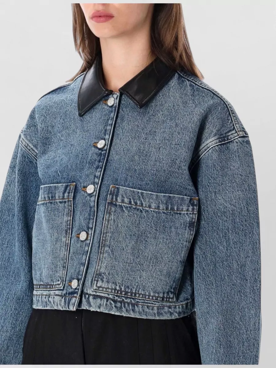 Anine Bing Denim Jacket