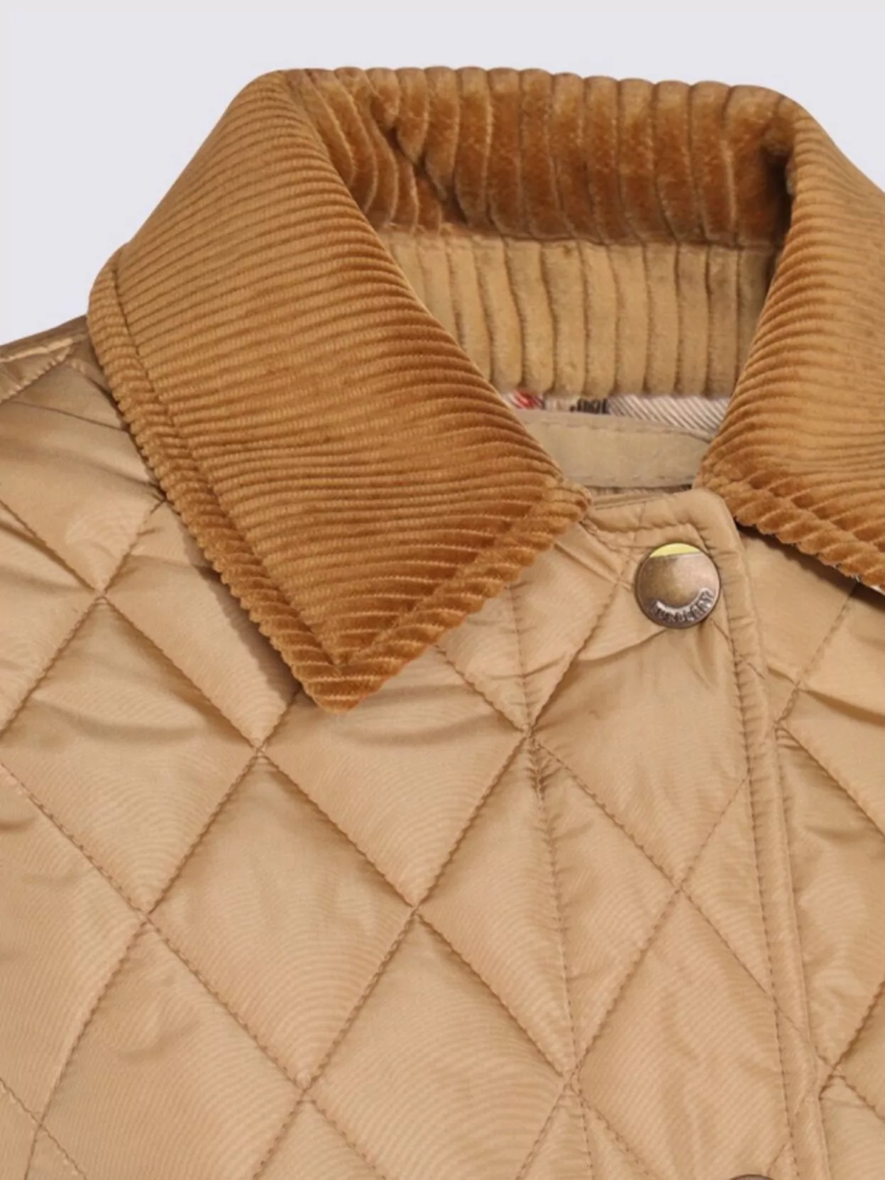 Burberry Padded Jackets With Corduroy Collar In Neutral