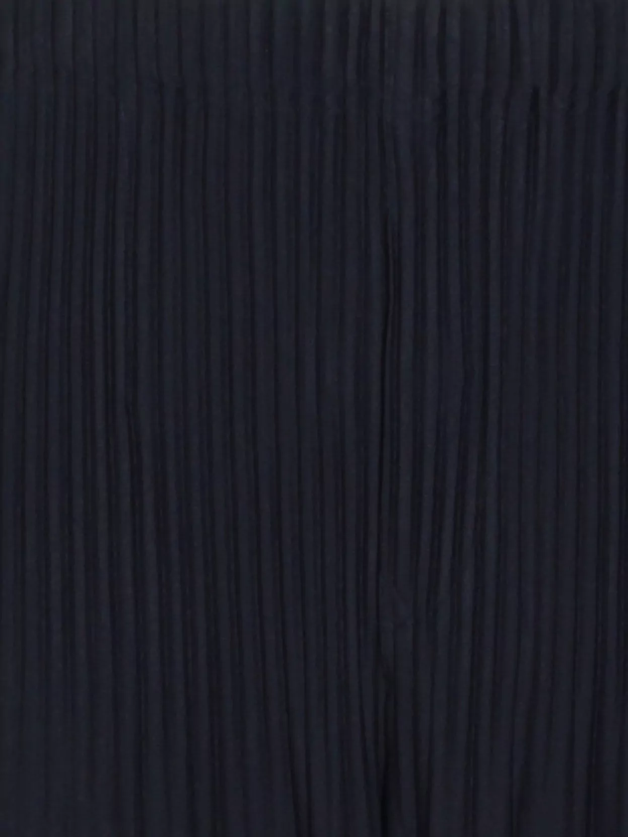 Homme Plisse Issey Miyake Trousers With Elastic Waistband And Pleats