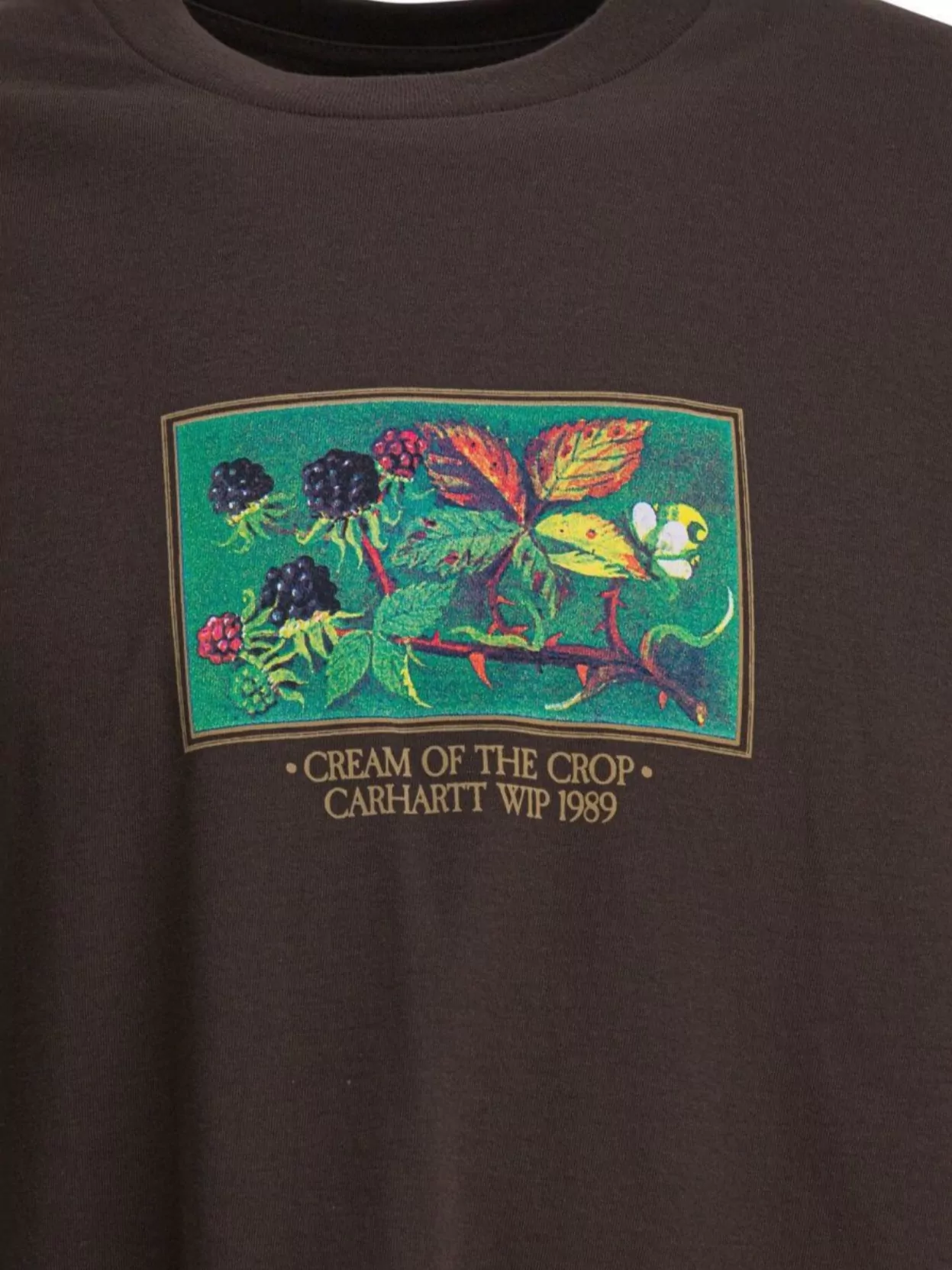 Carhartt Wip Short Sleeve Graphic Print Crew Neck T-Shirt
